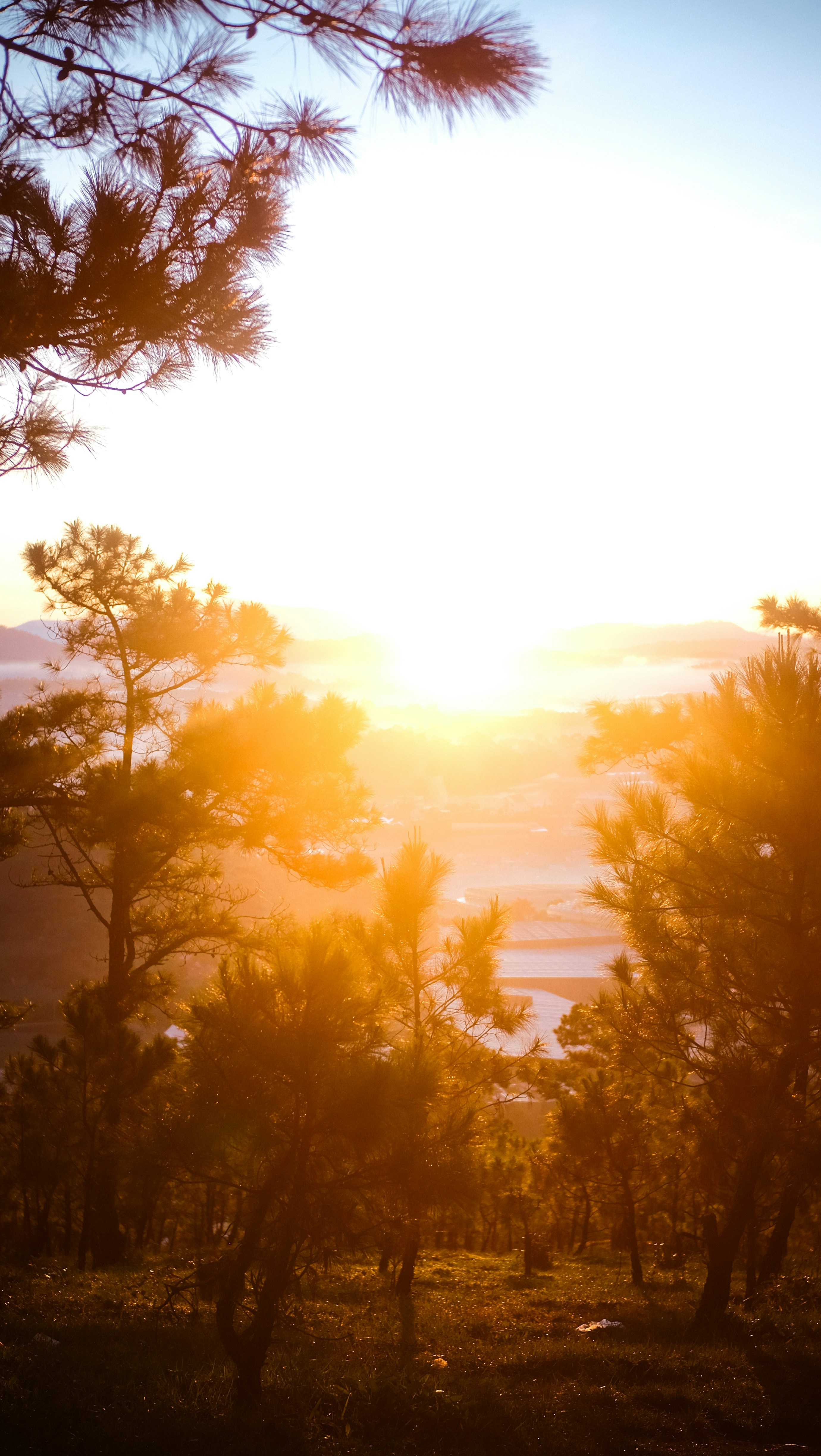 Photo by binhnguyen3033