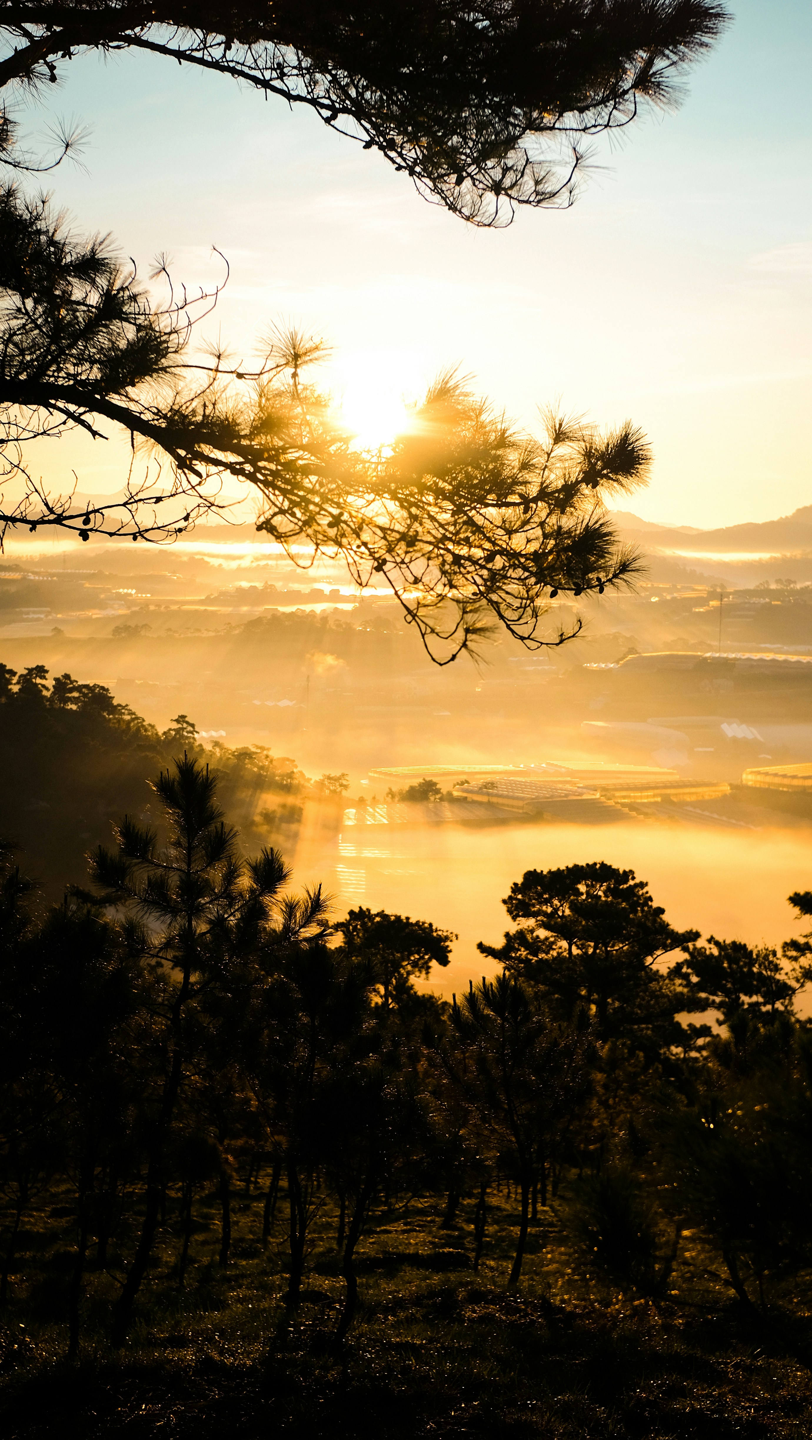 Photo by binhnguyen3033