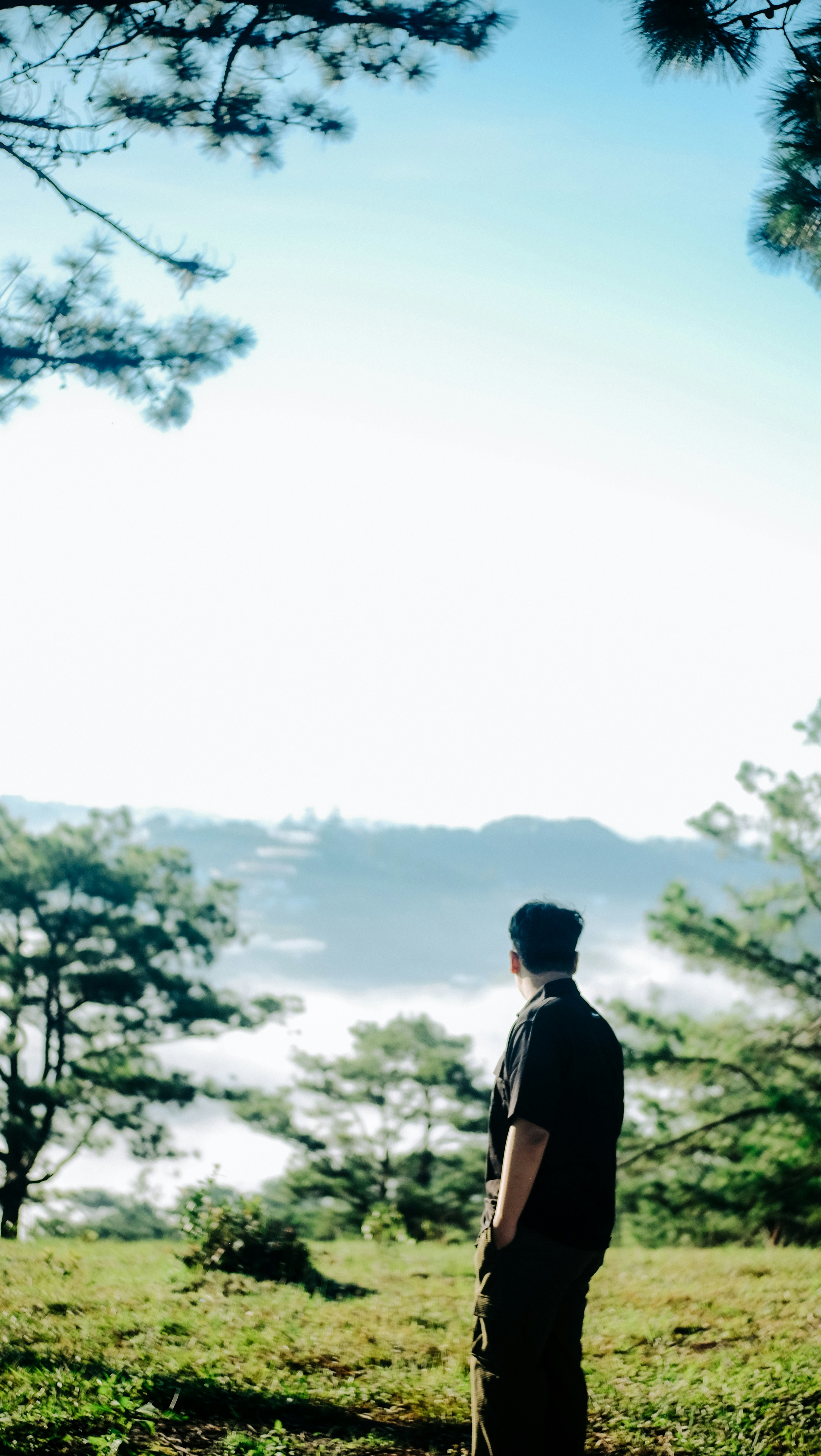 Photo by binhnguyen3033