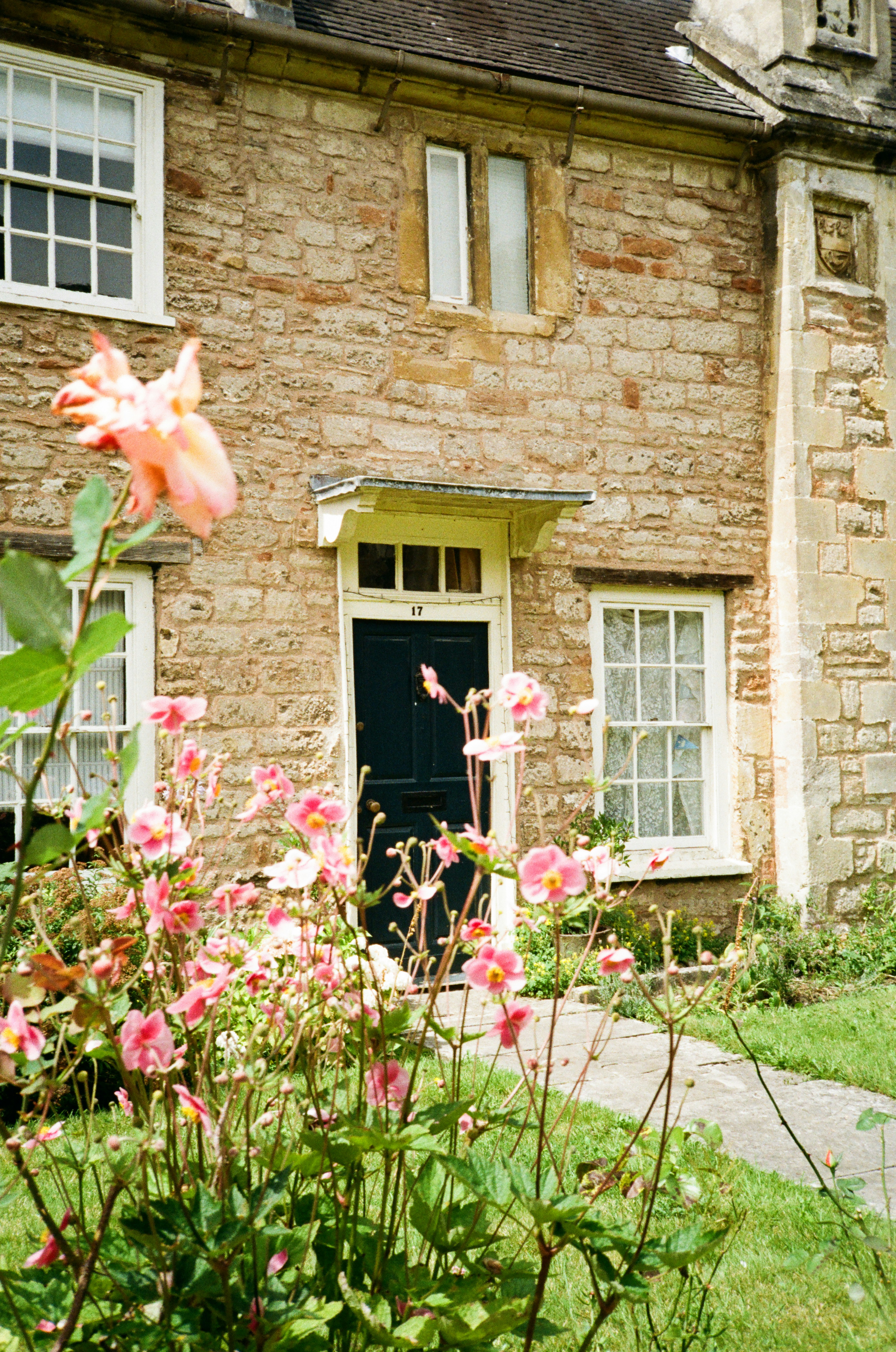Photo by helloimnik
