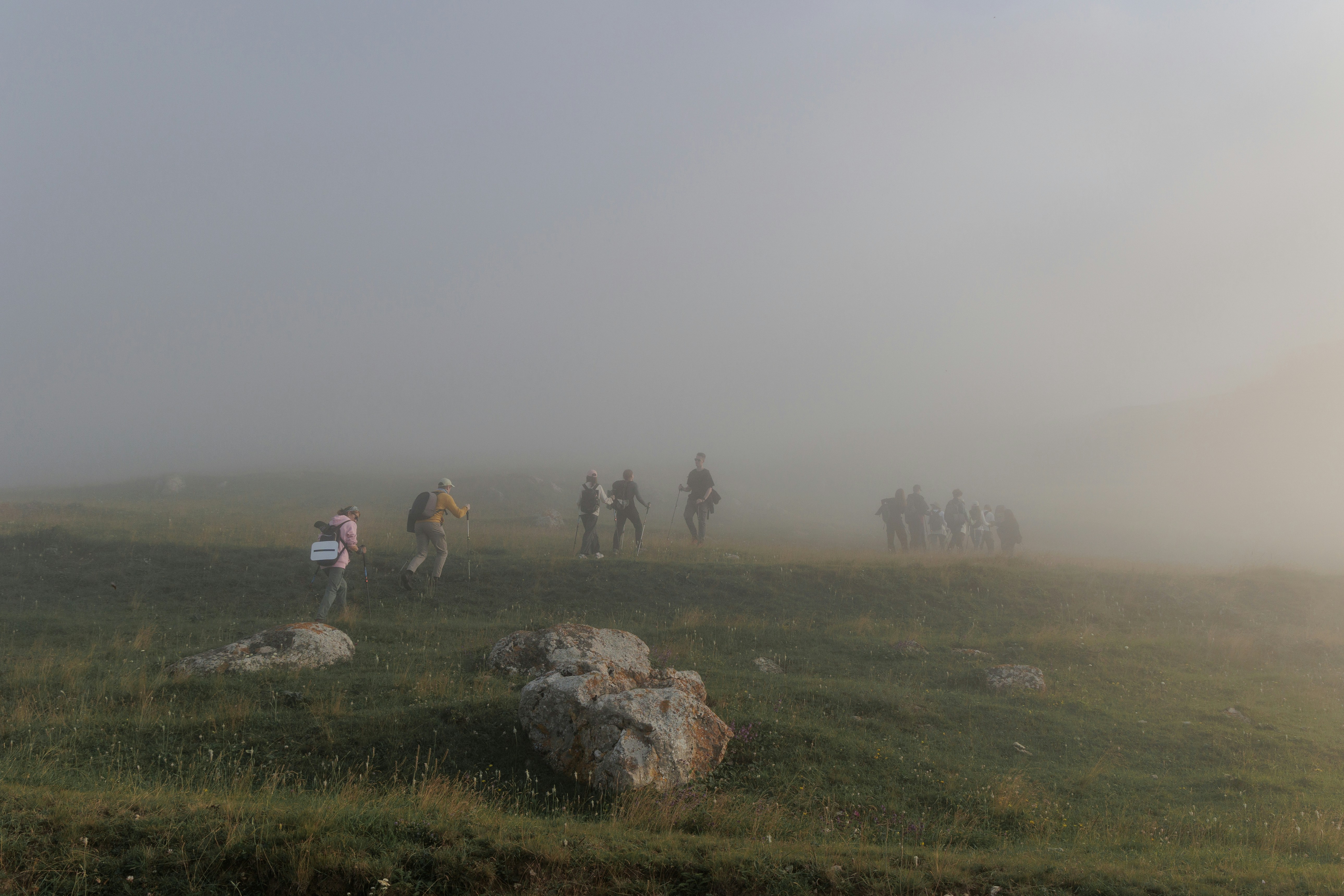 A group of people standing on top of a lush green field