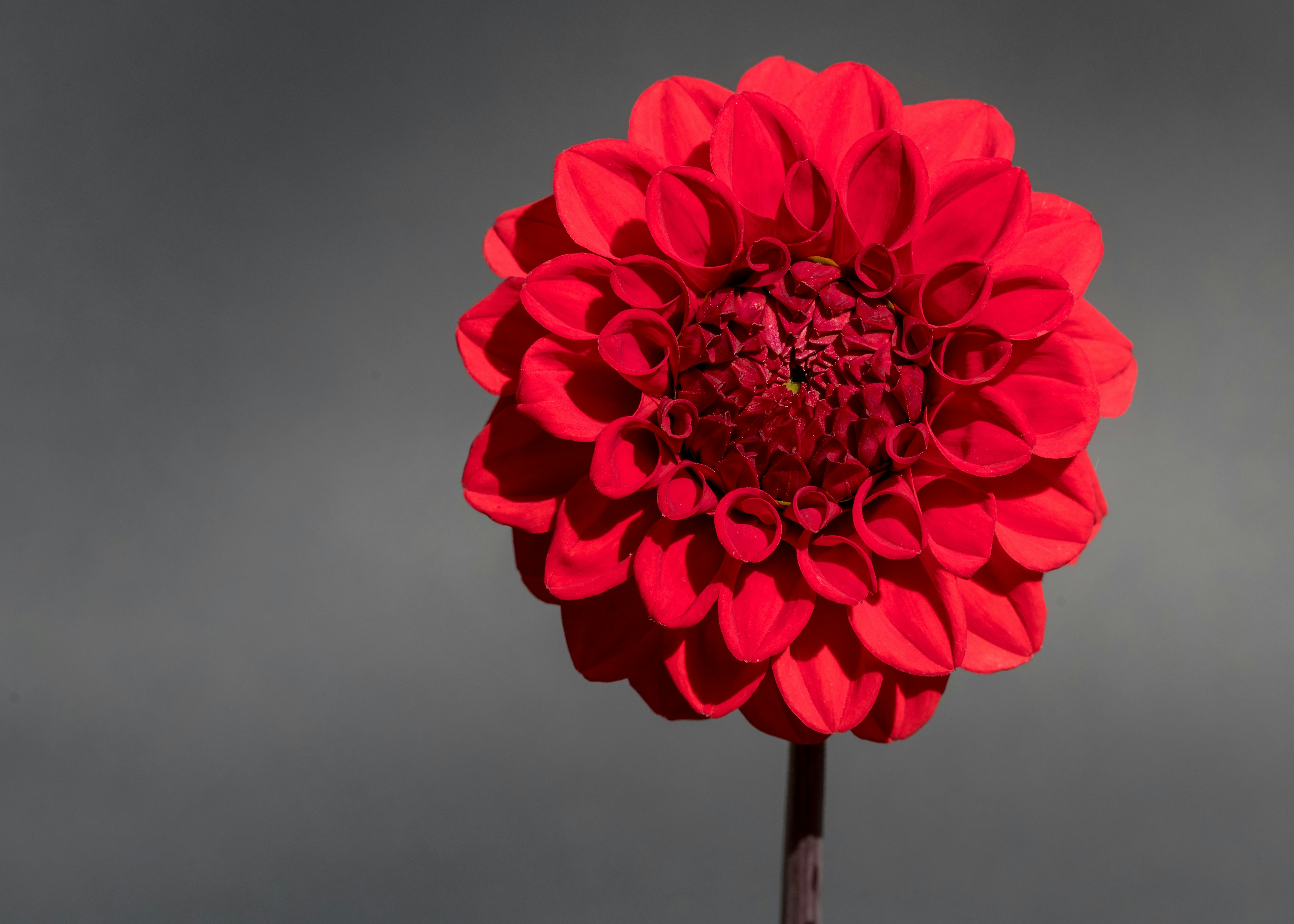 Photo by hamburgmeinefreundin