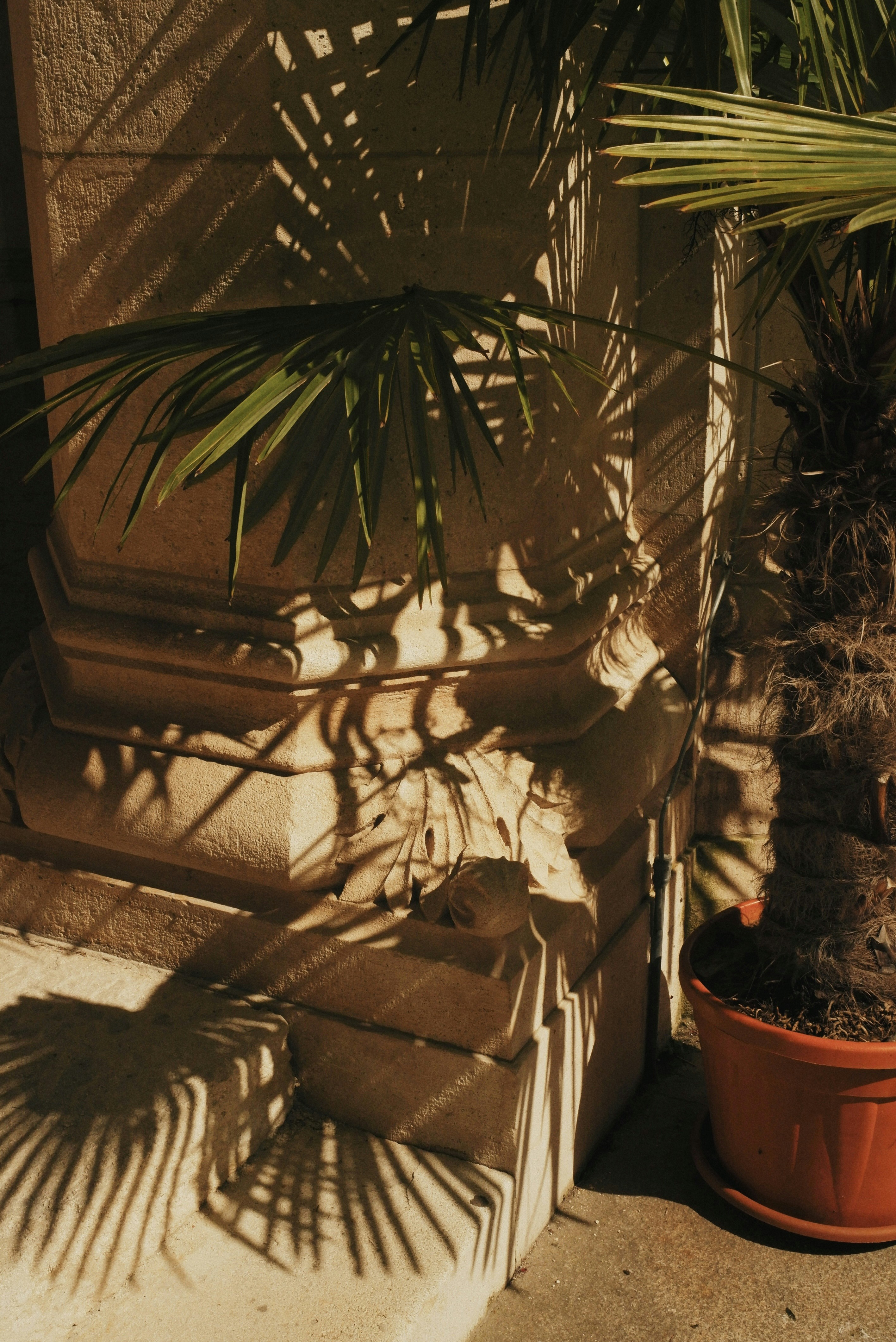 Photo by andreyfoley