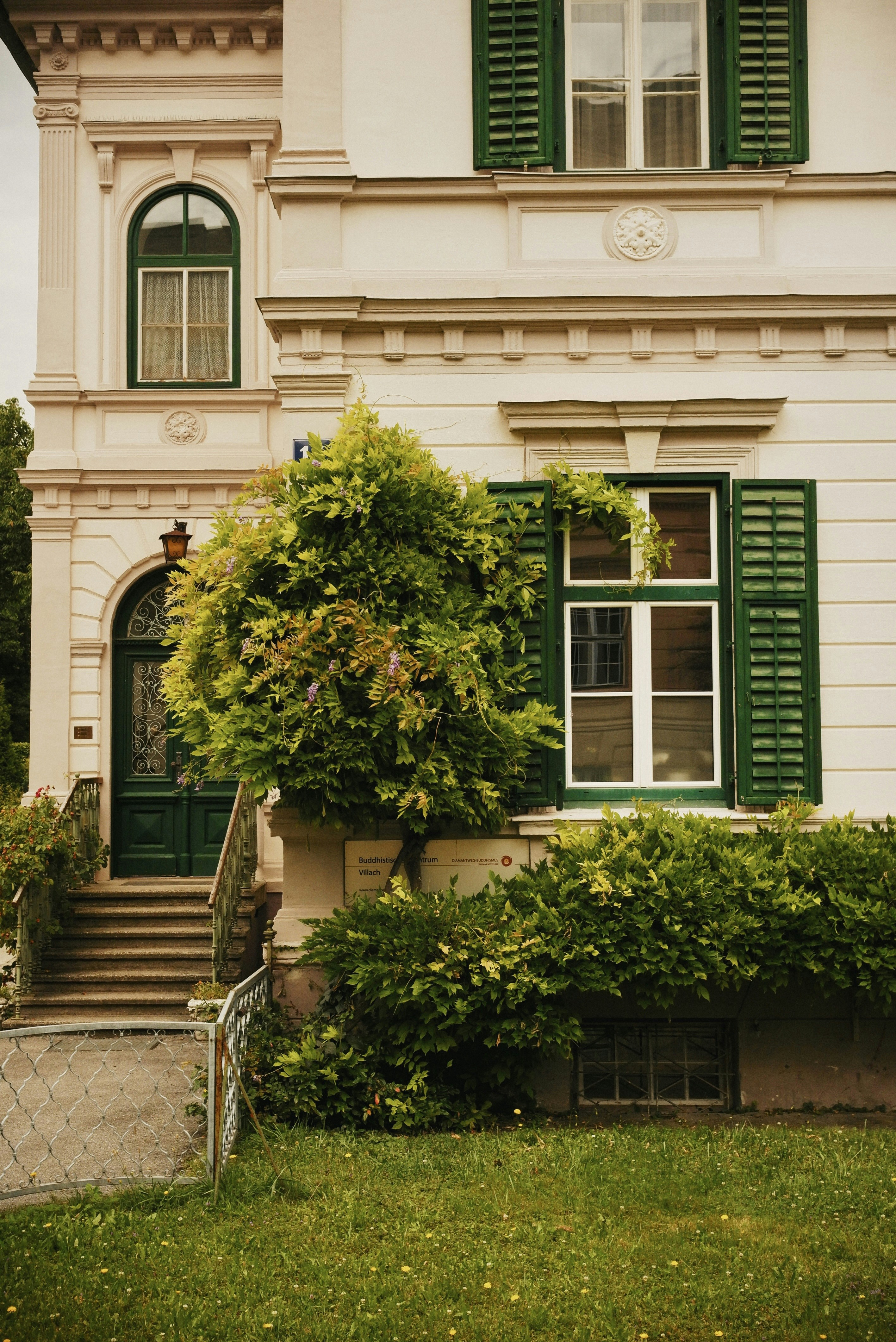 Photo by andreyfoley