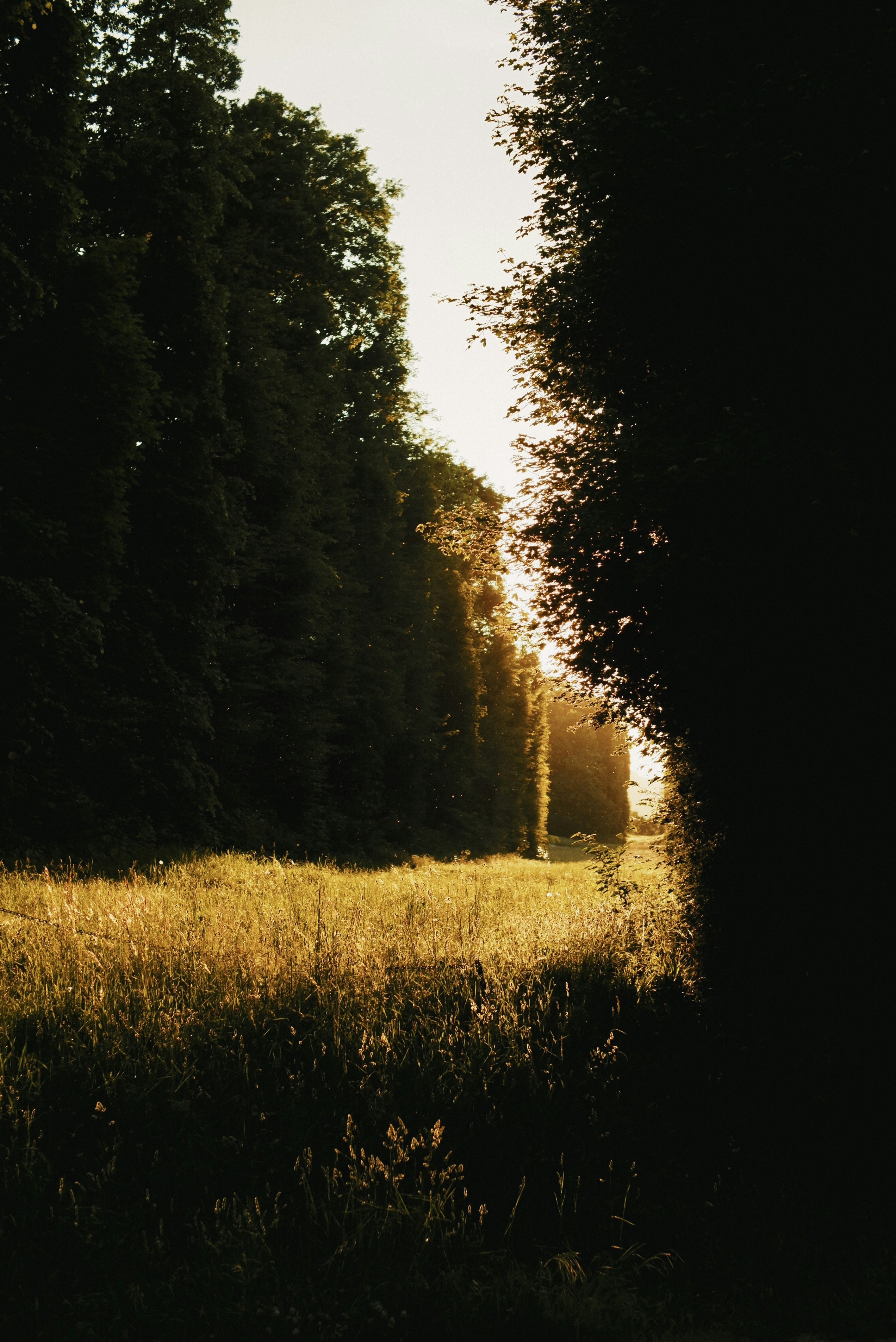 Photo by andreyfoley