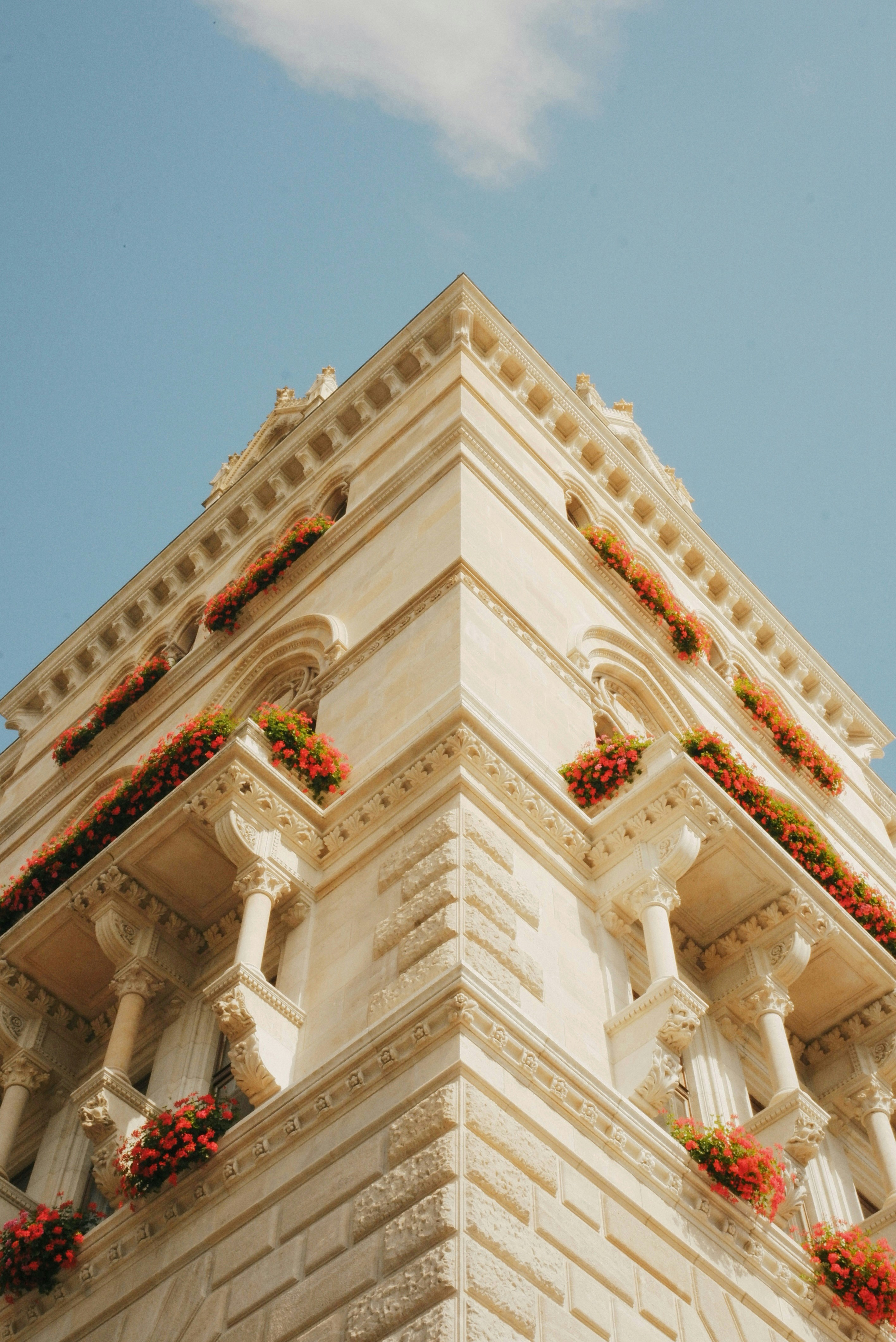 Photo by andreyfoley