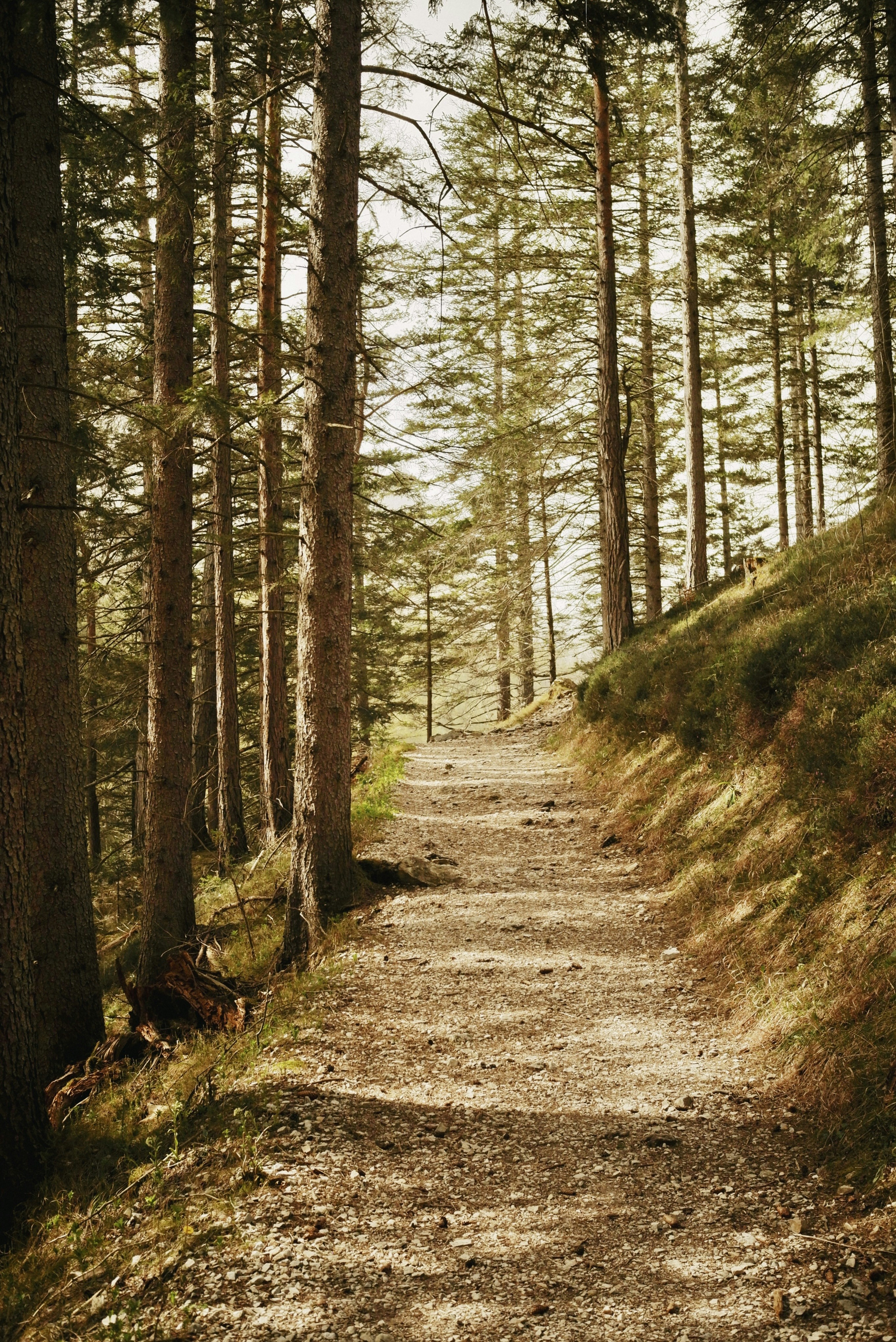 Photo by andreyfoley