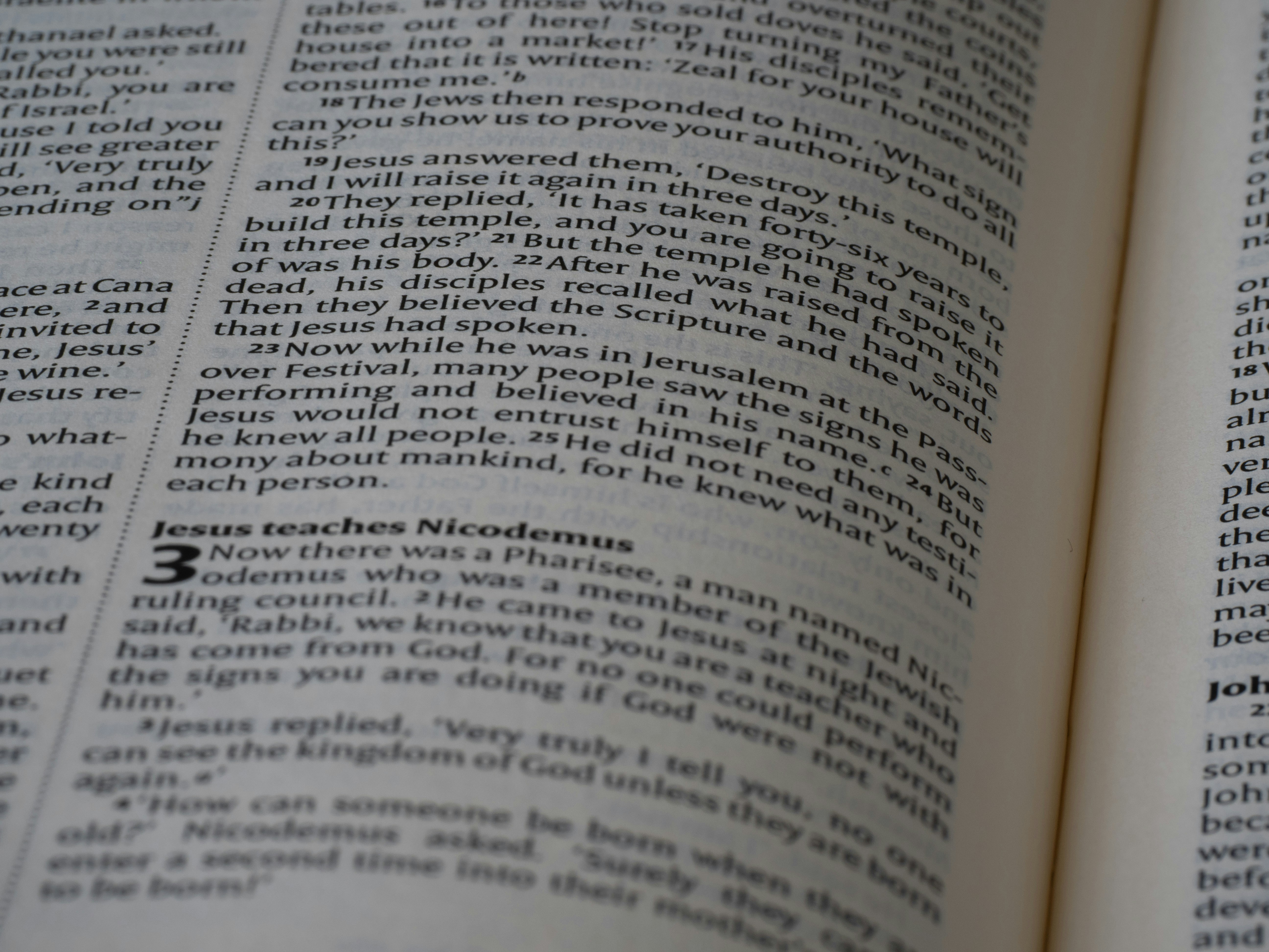 Photo by brett_jordan