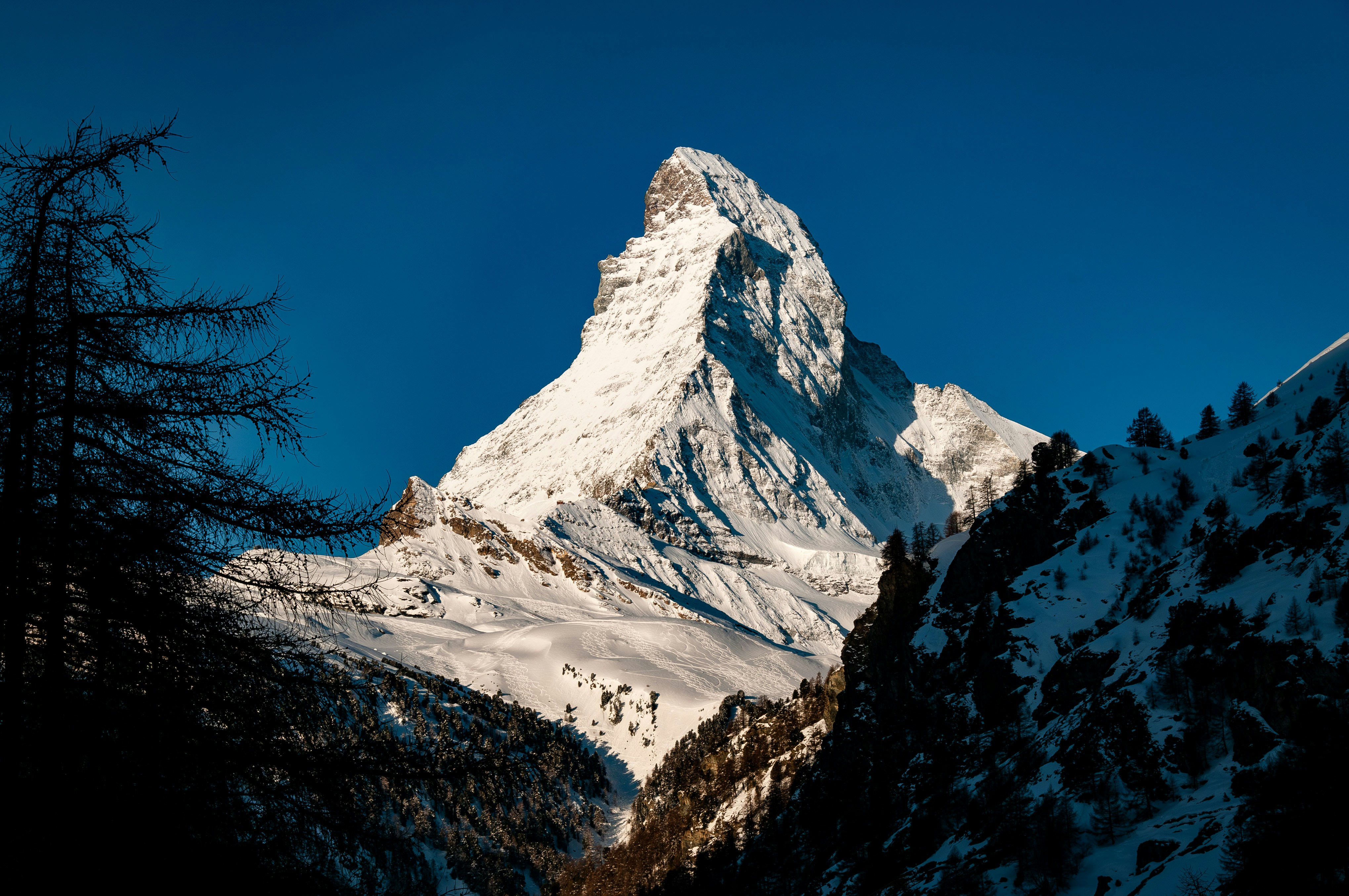 A snow covered mountain with trees in the foreground