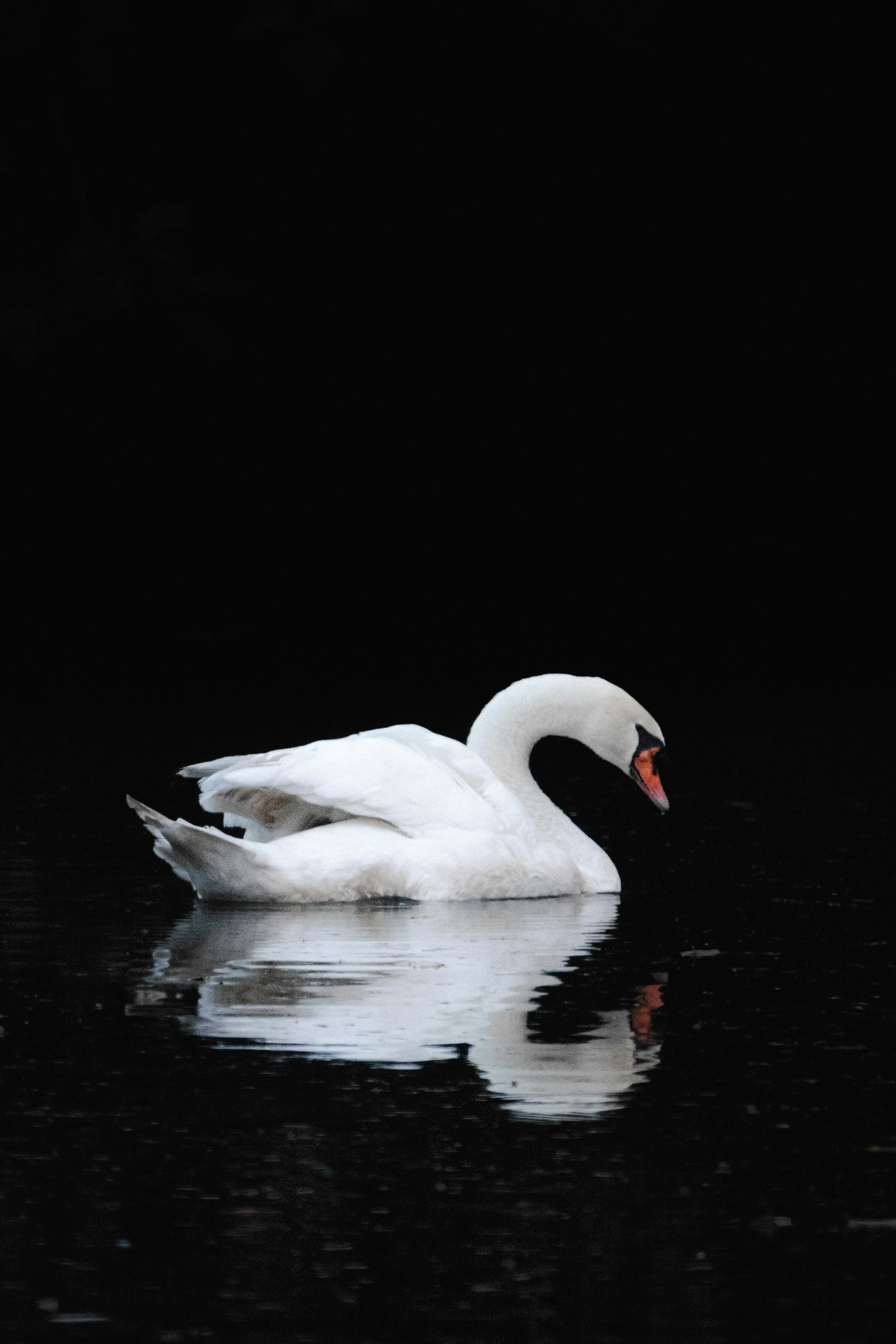 Photo by joylynn_goh