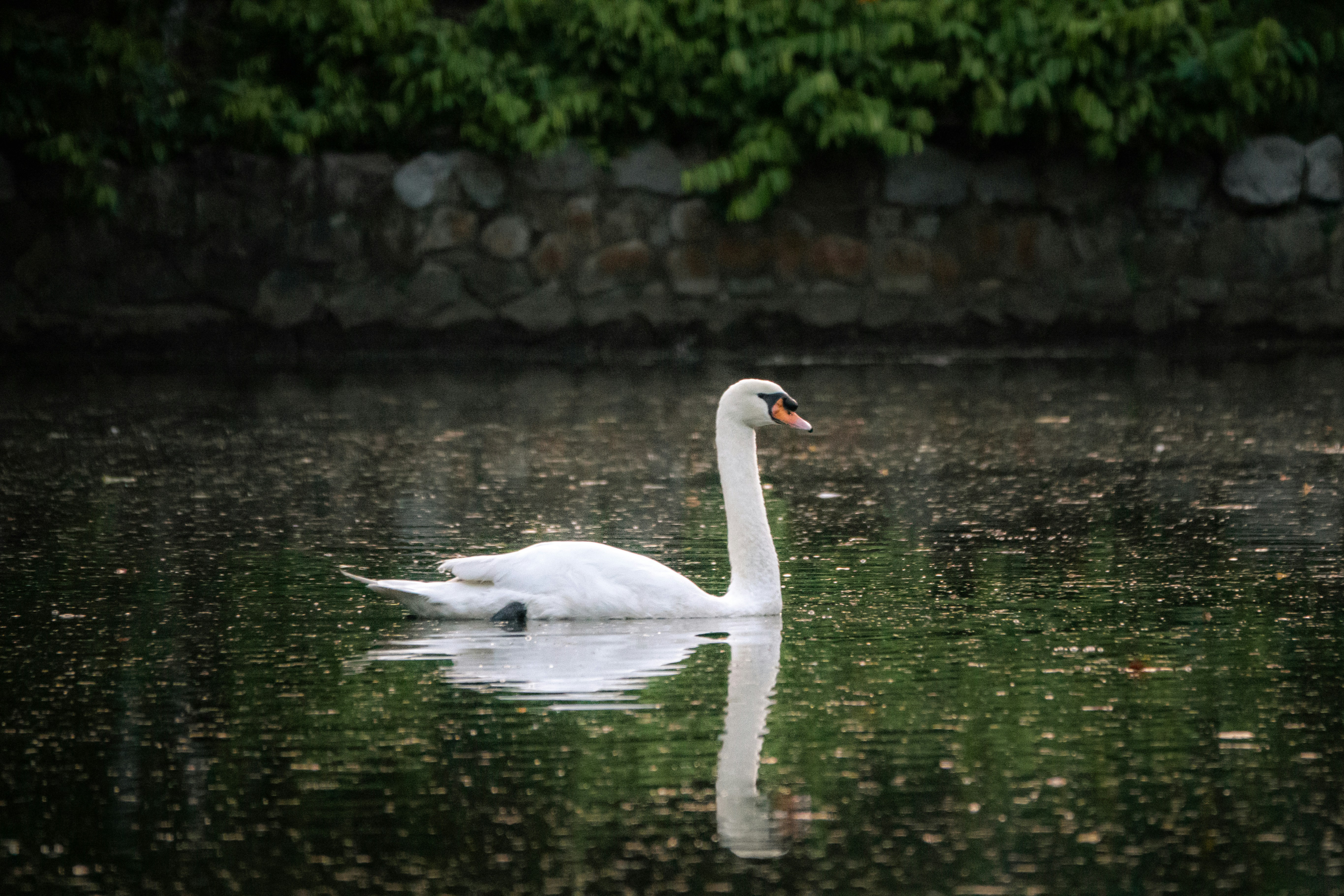 Photo by joylynn_goh