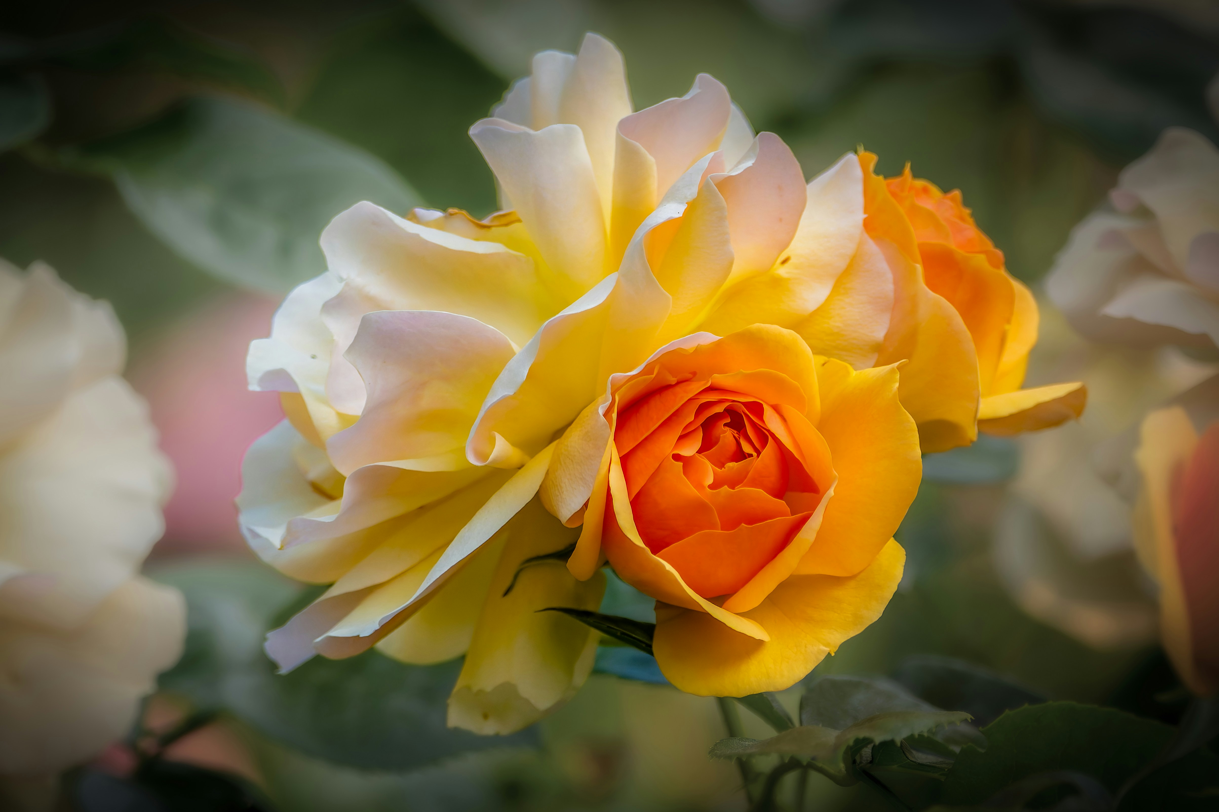 Photo by siegfriedpoepperl