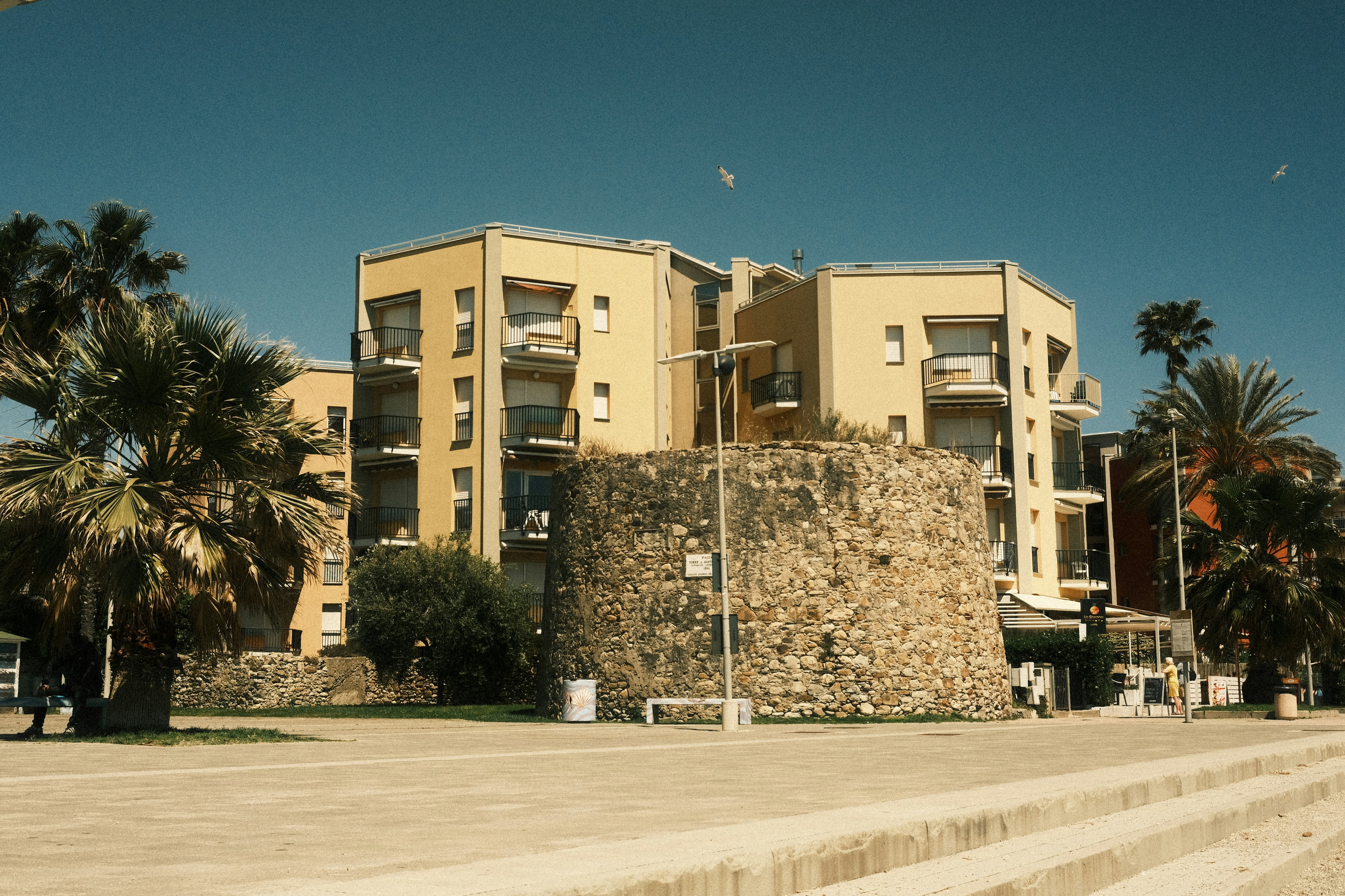 Photo by sacephotography