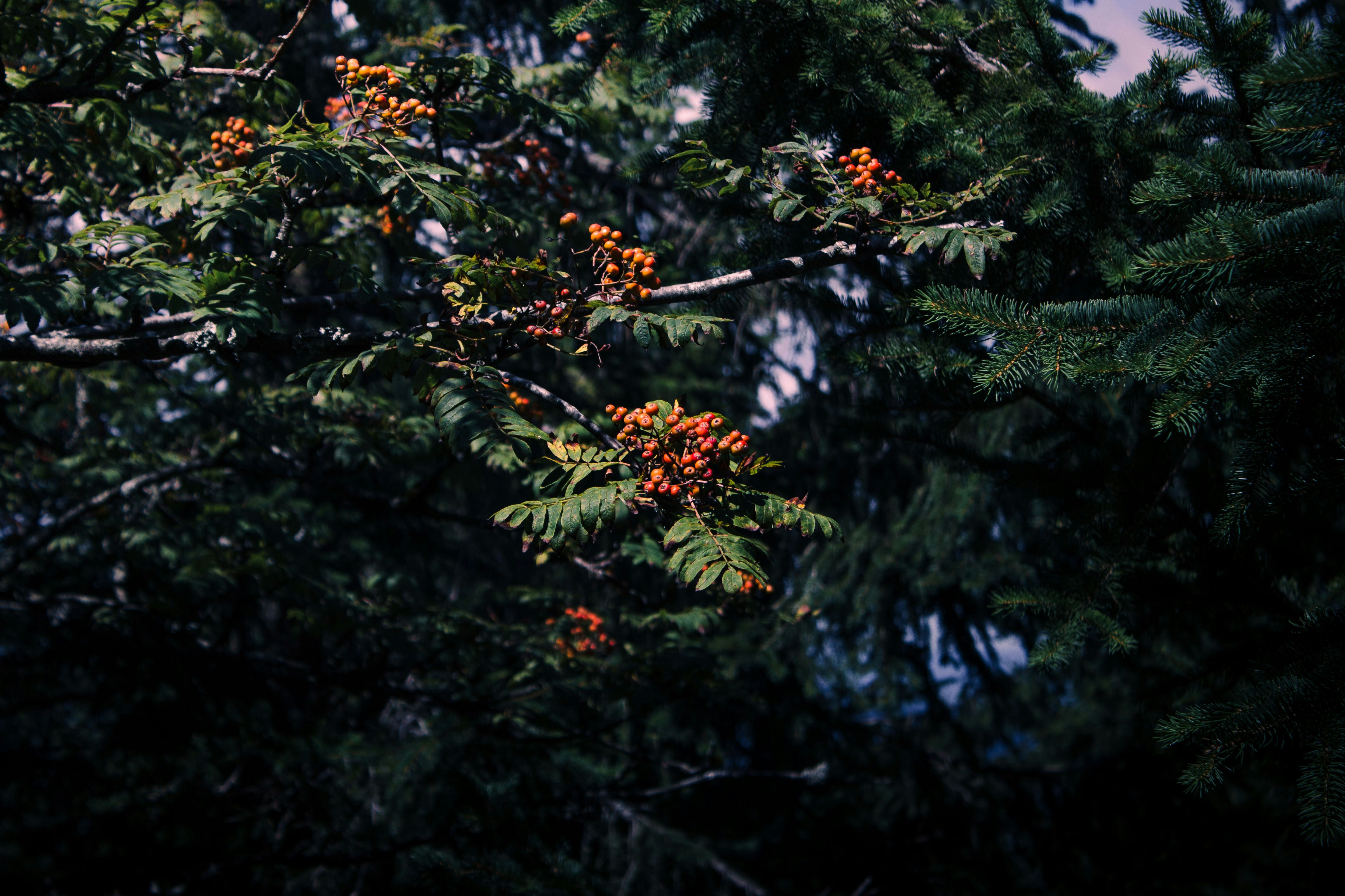 Photo by silaslundquist