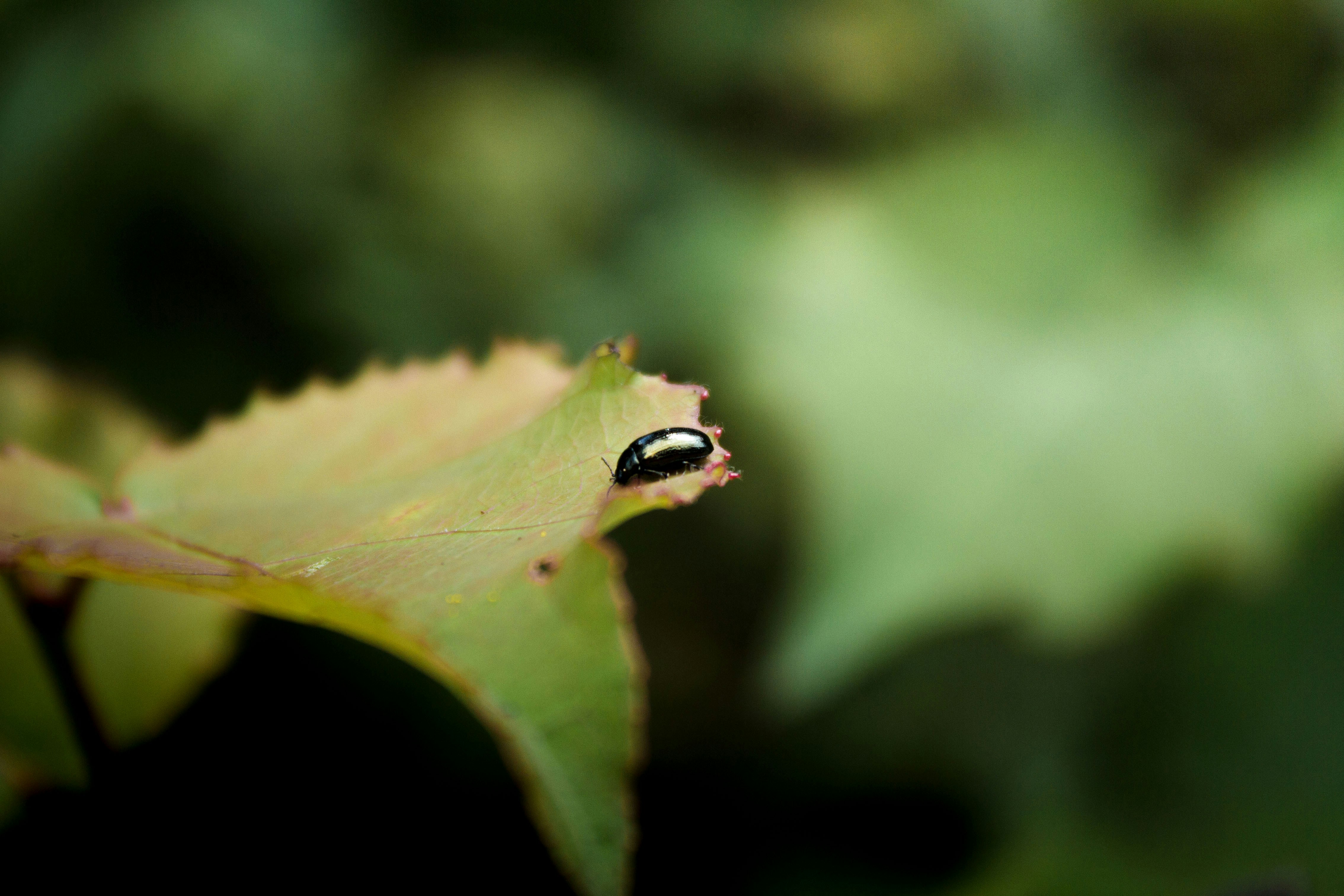 Photo by silaslundquist