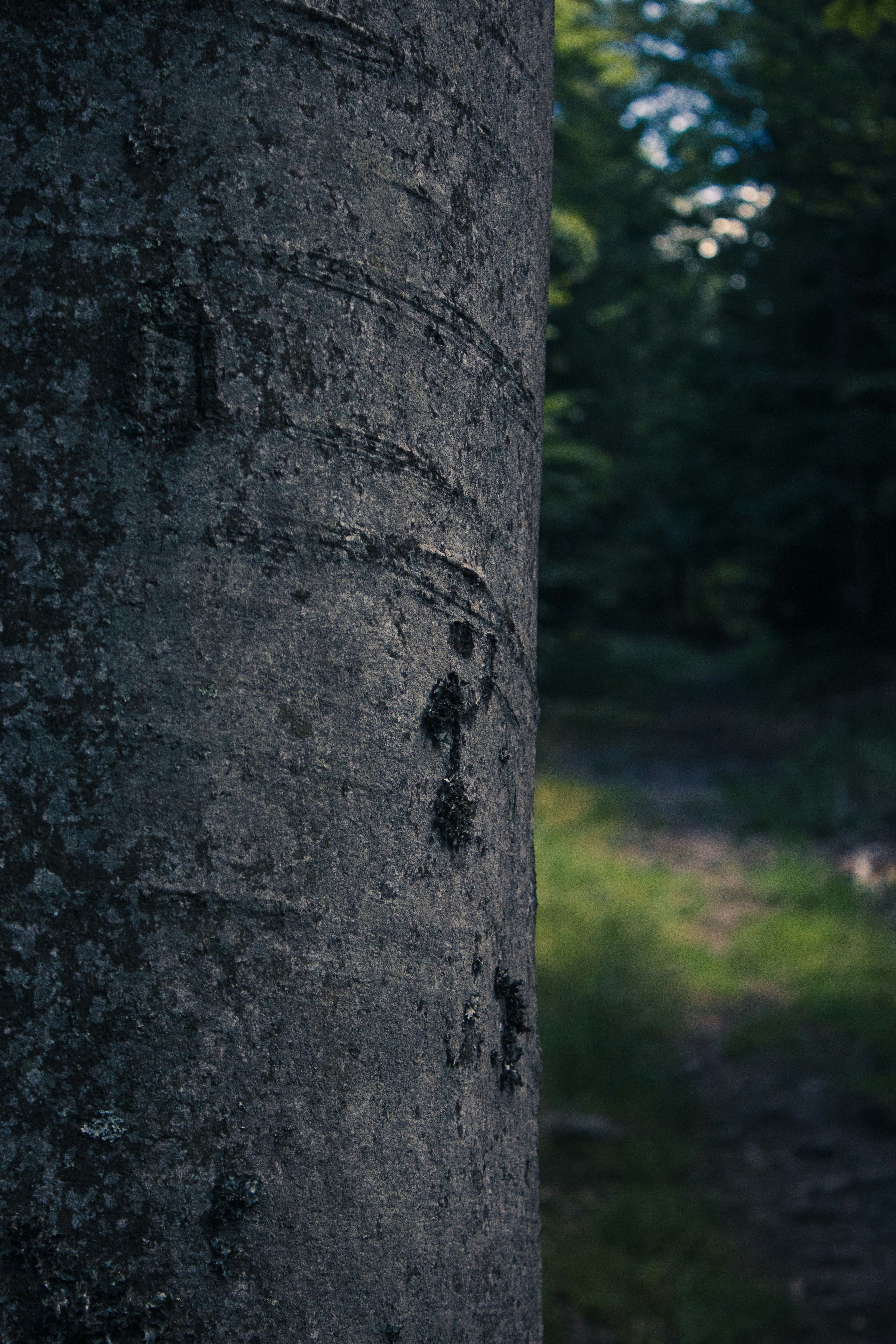 Photo by silaslundquist