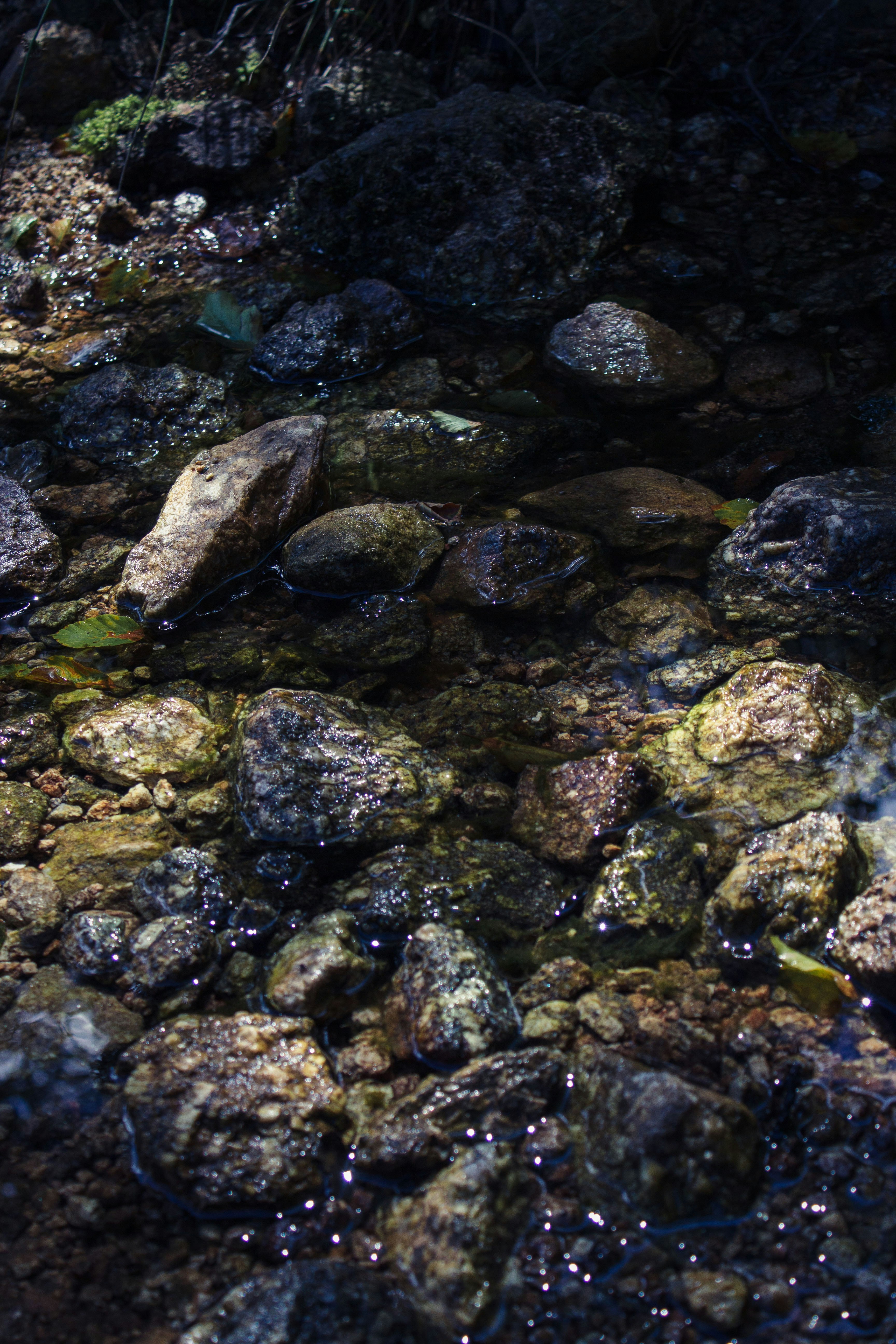 Photo by silaslundquist