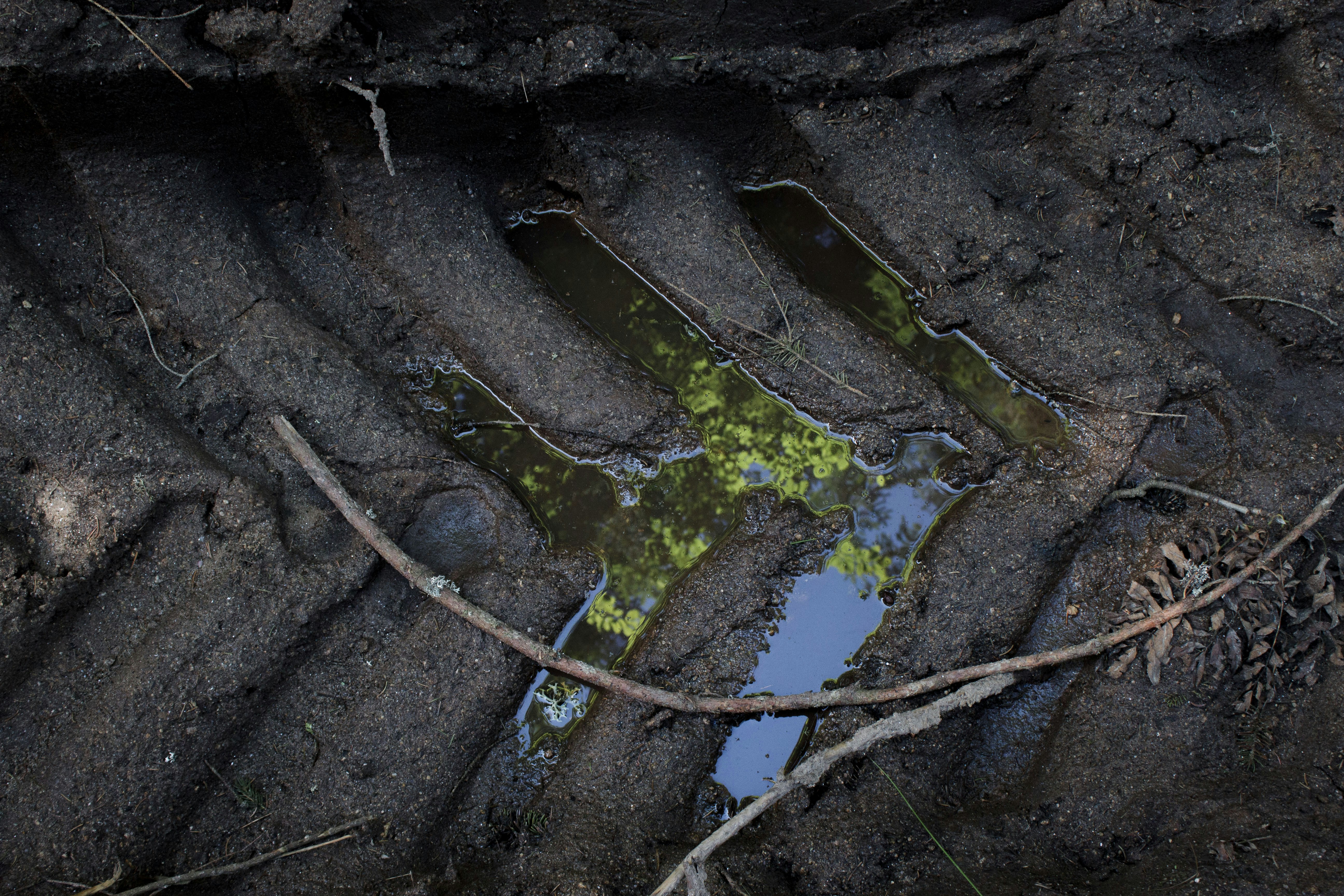 A puddle of water sitting in the middle of a dirt field