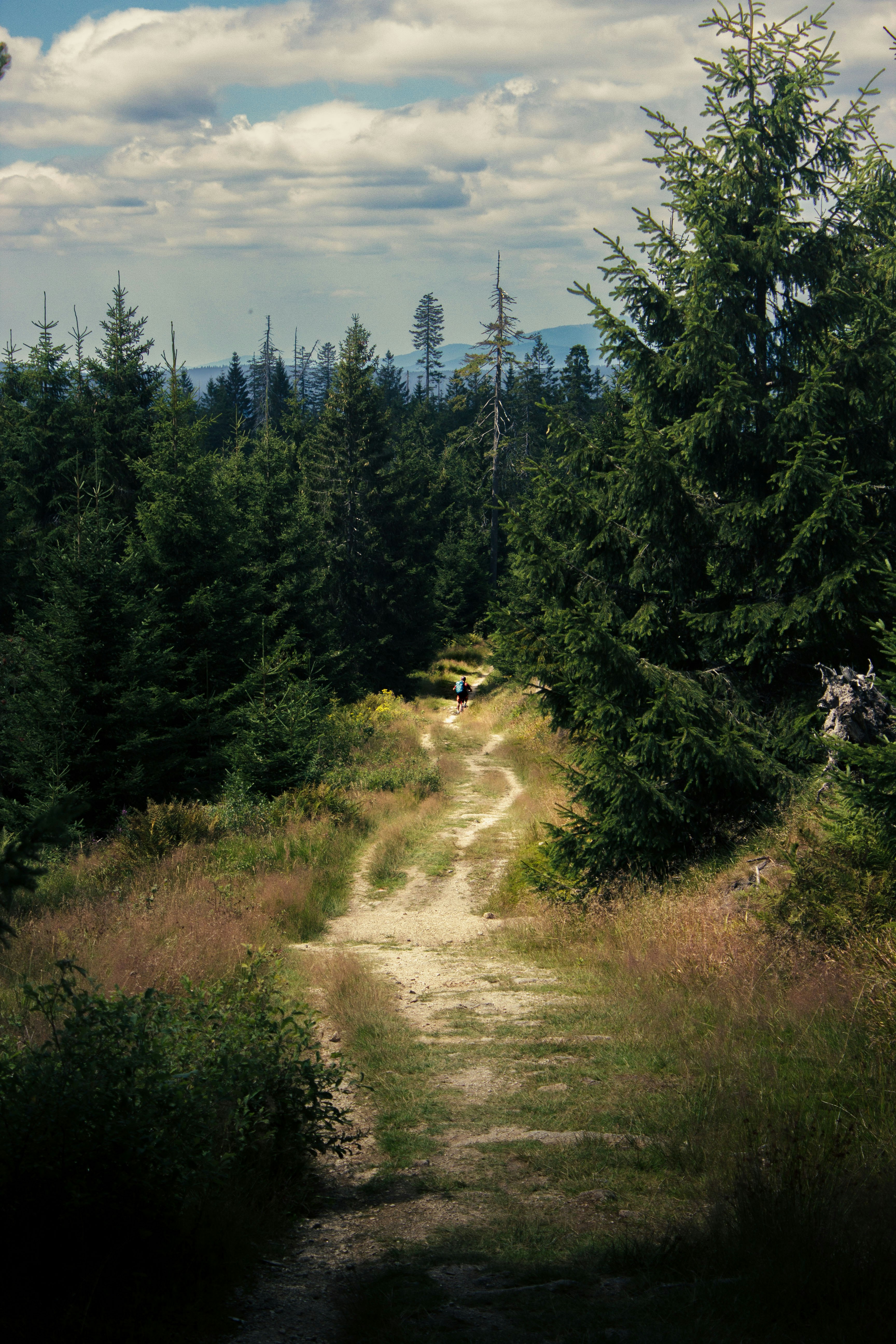 Photo by silaslundquist