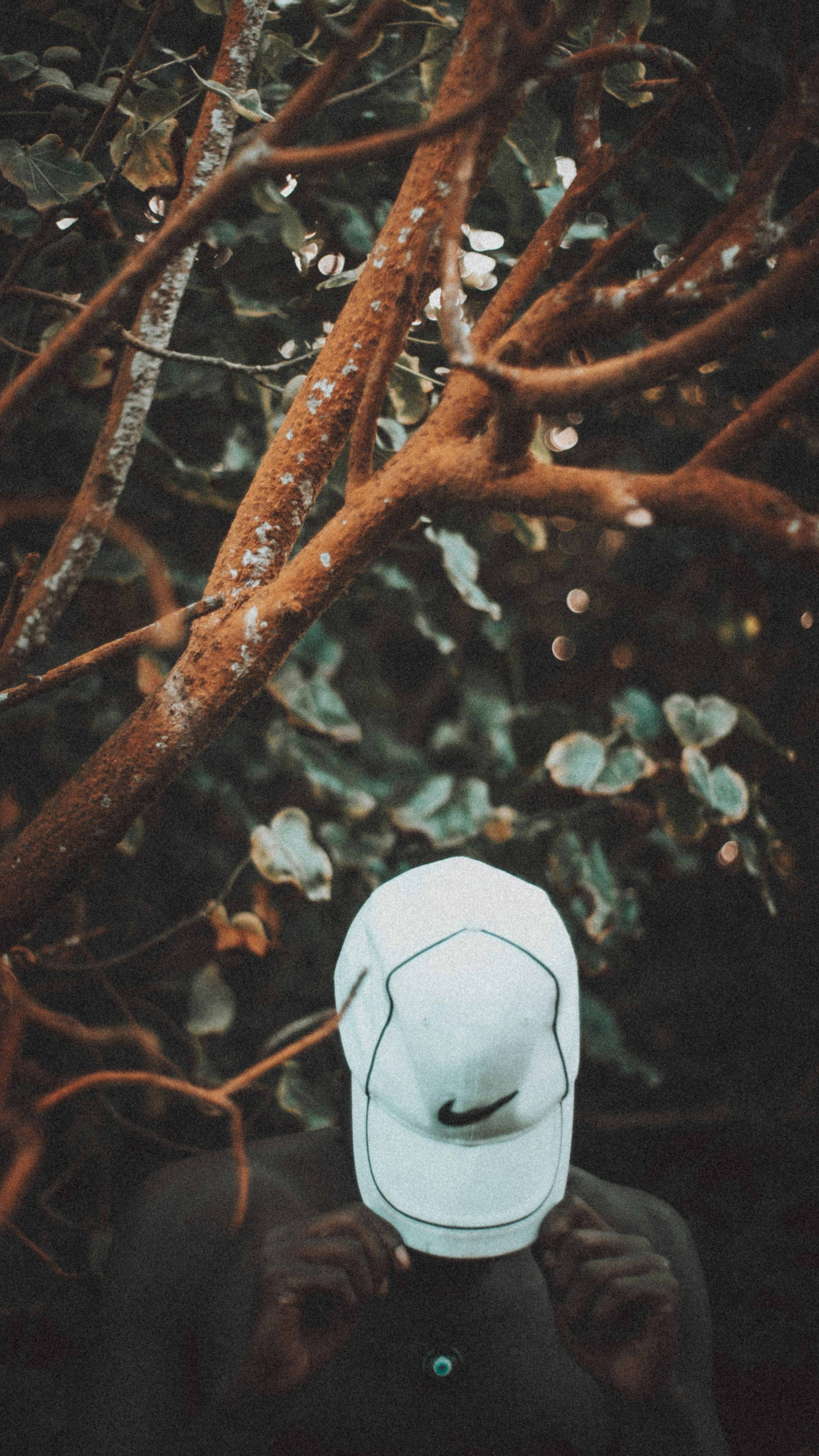A person wearing a white hat standing in front of a tree photo – Free ...