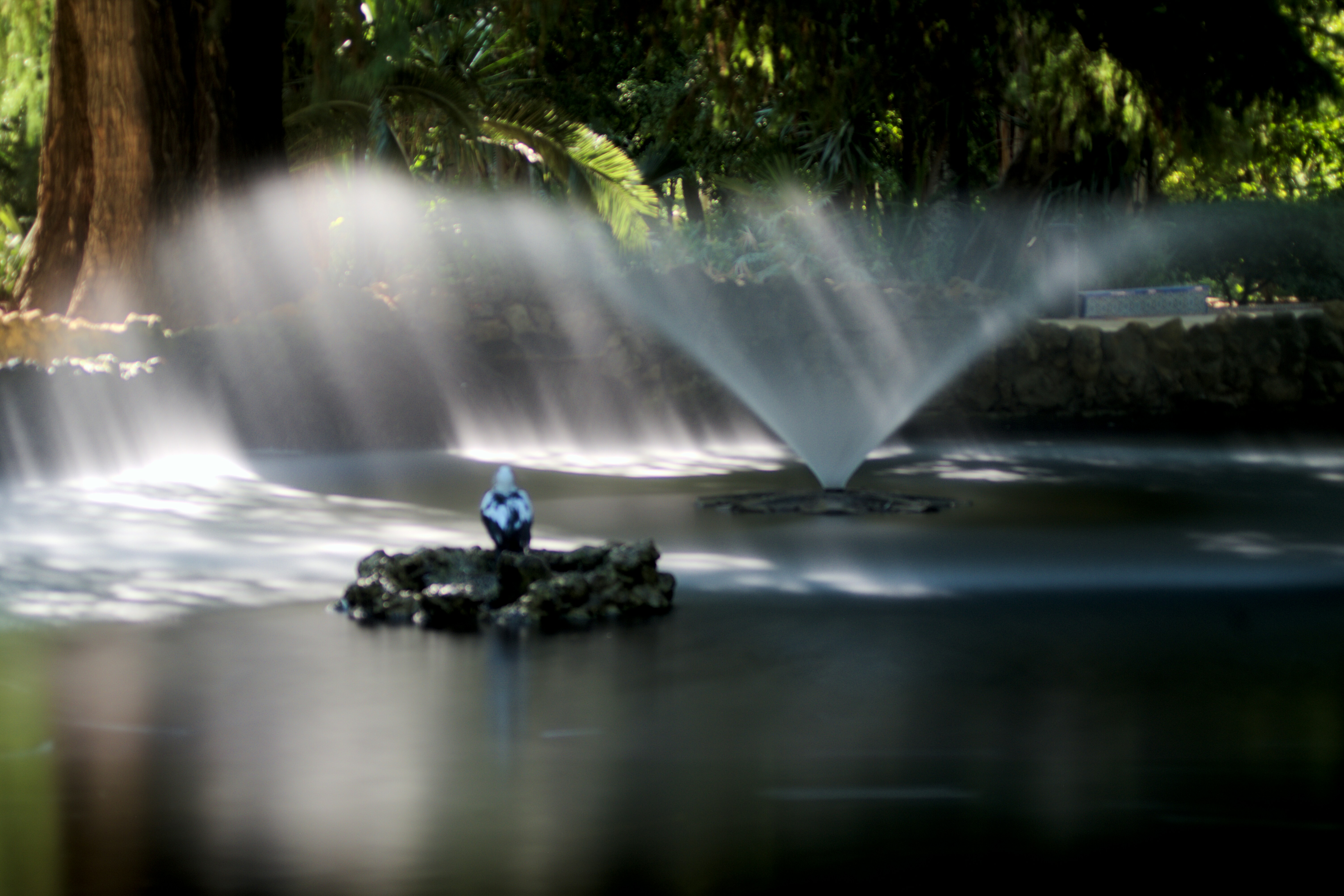 AI in Urban Water: Today vs. 10 Years From Now