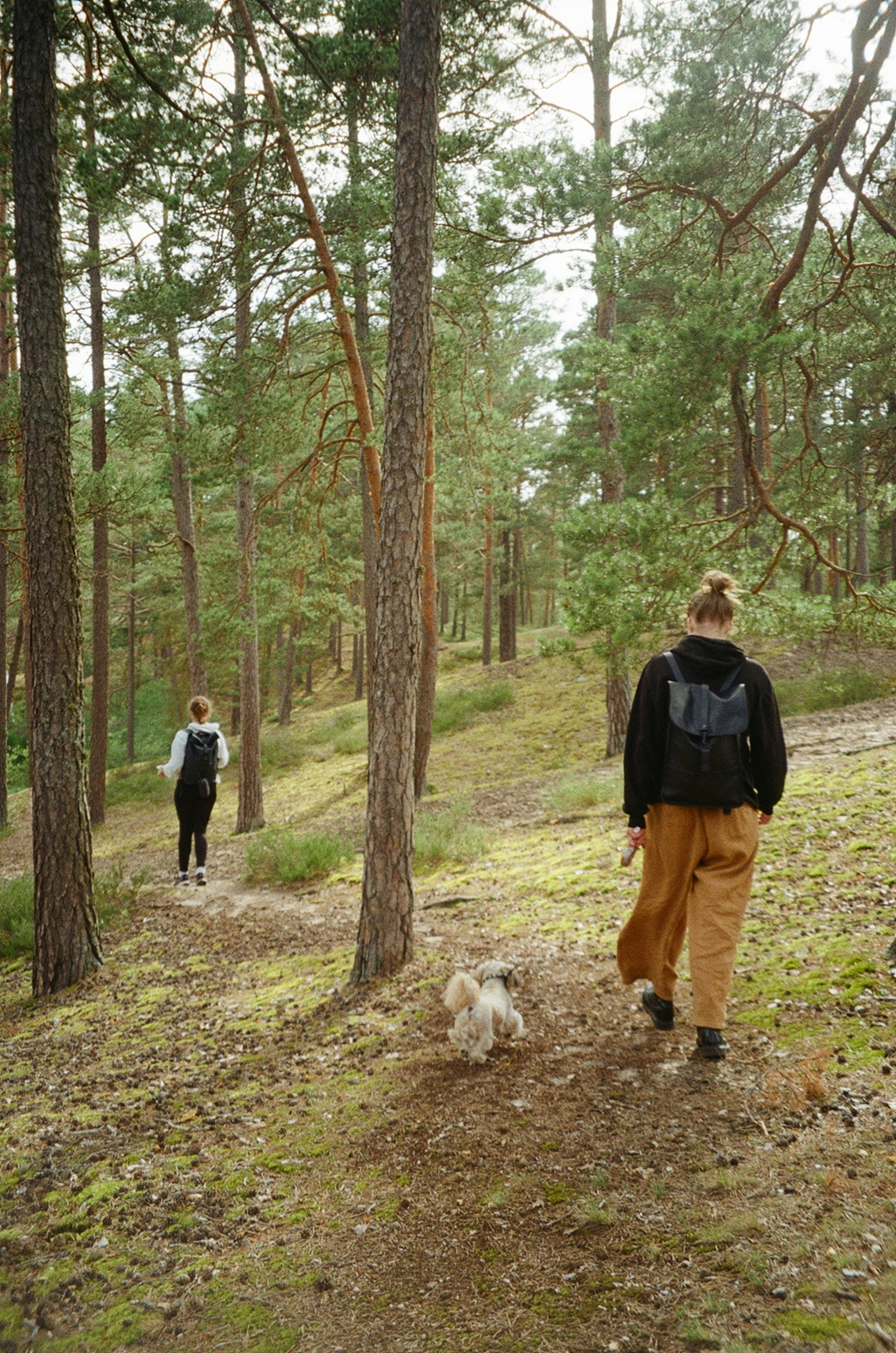 Two people walking in the woods with a dog