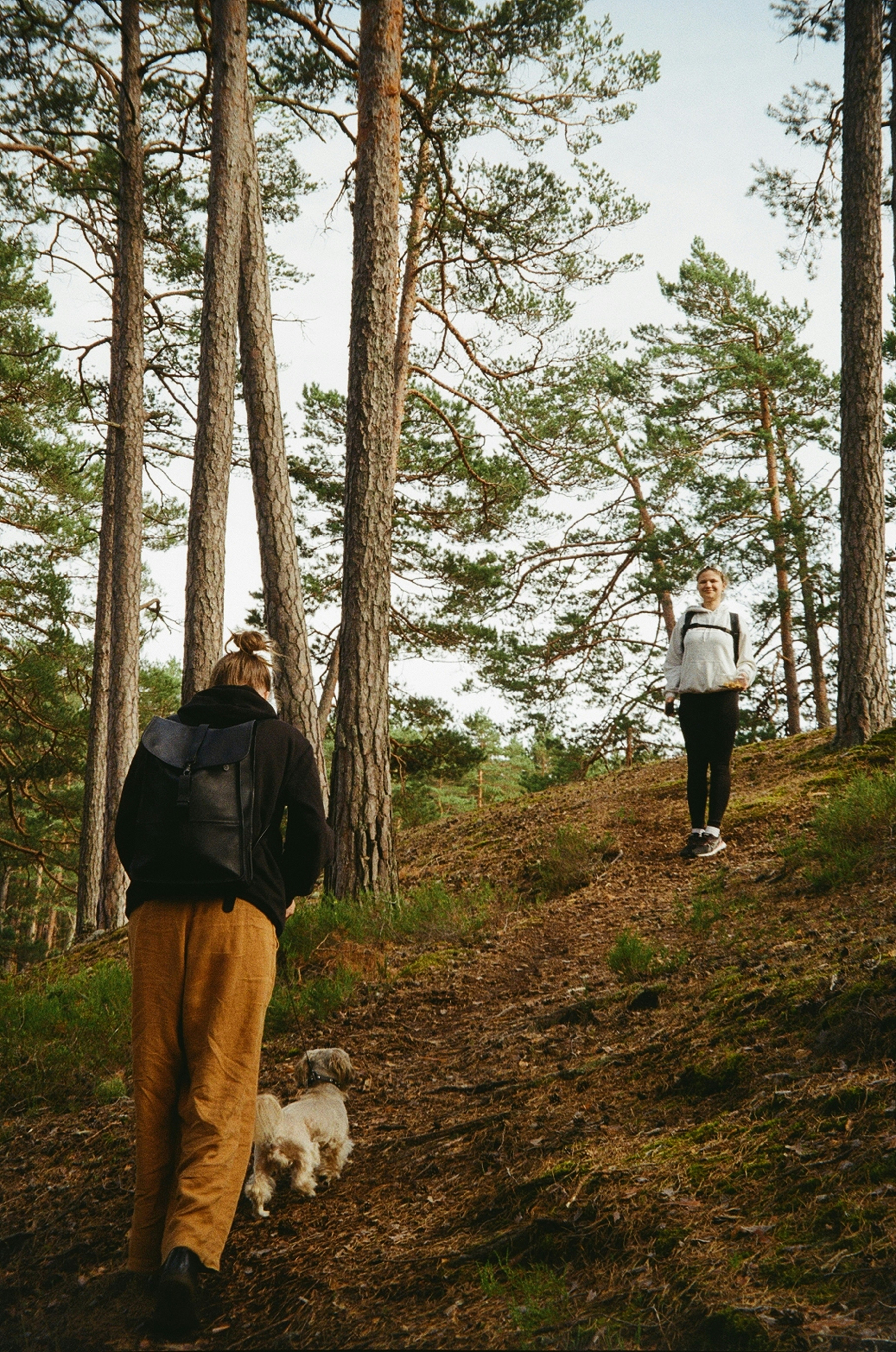 A couple of people walking down a dirt road