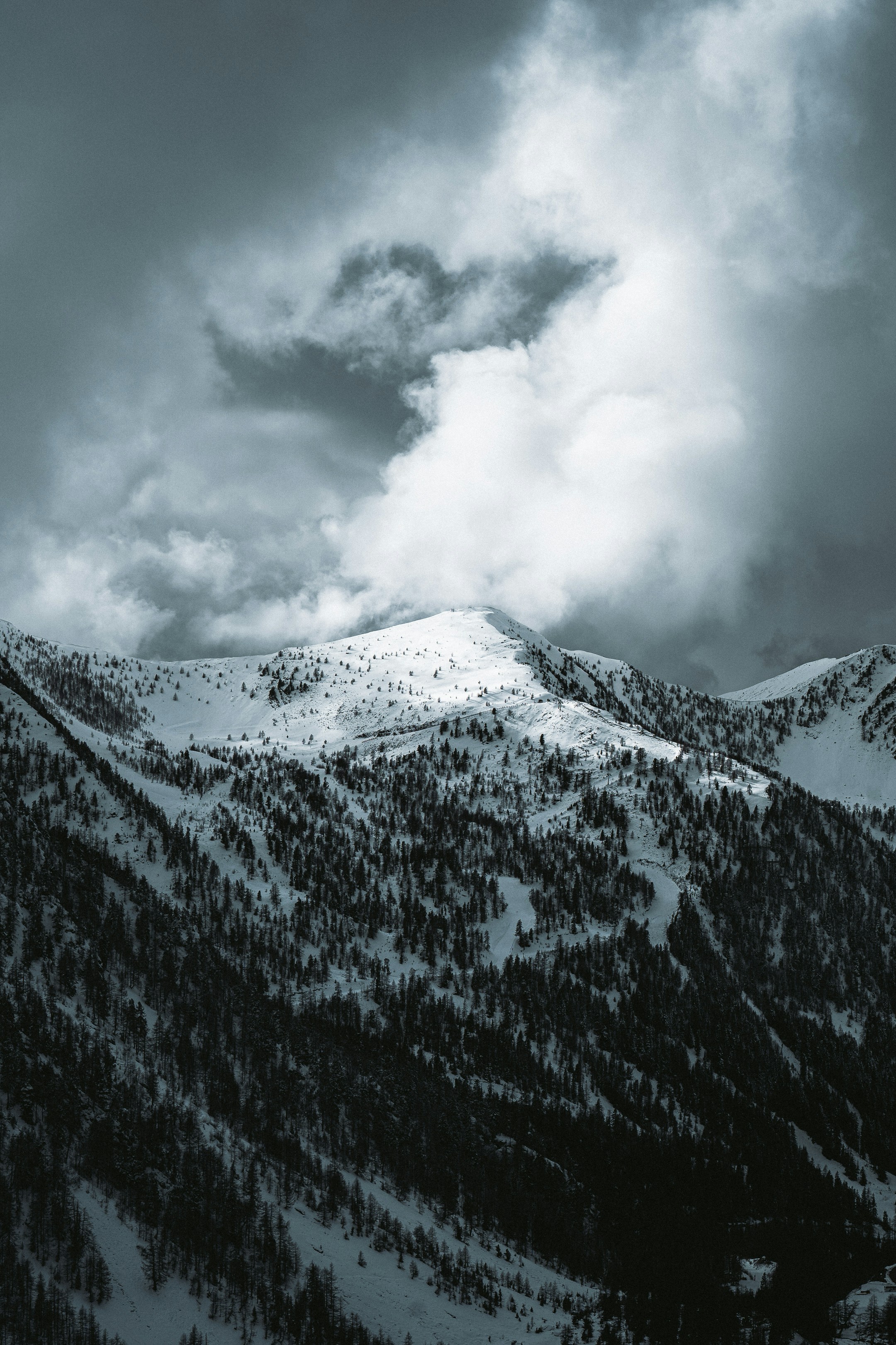 Photo by benjamin_photo_lab