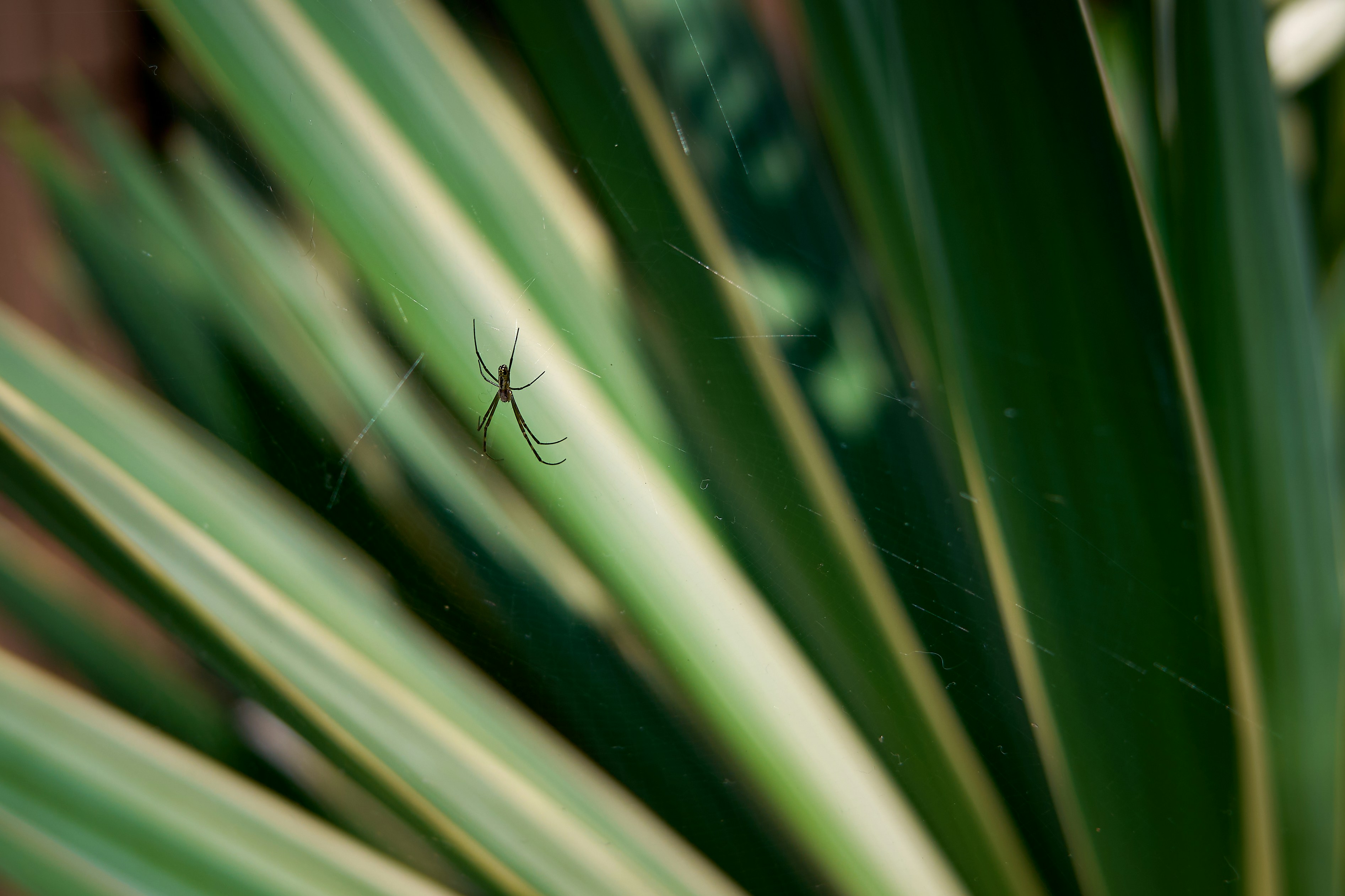 Photo by stbuddyp