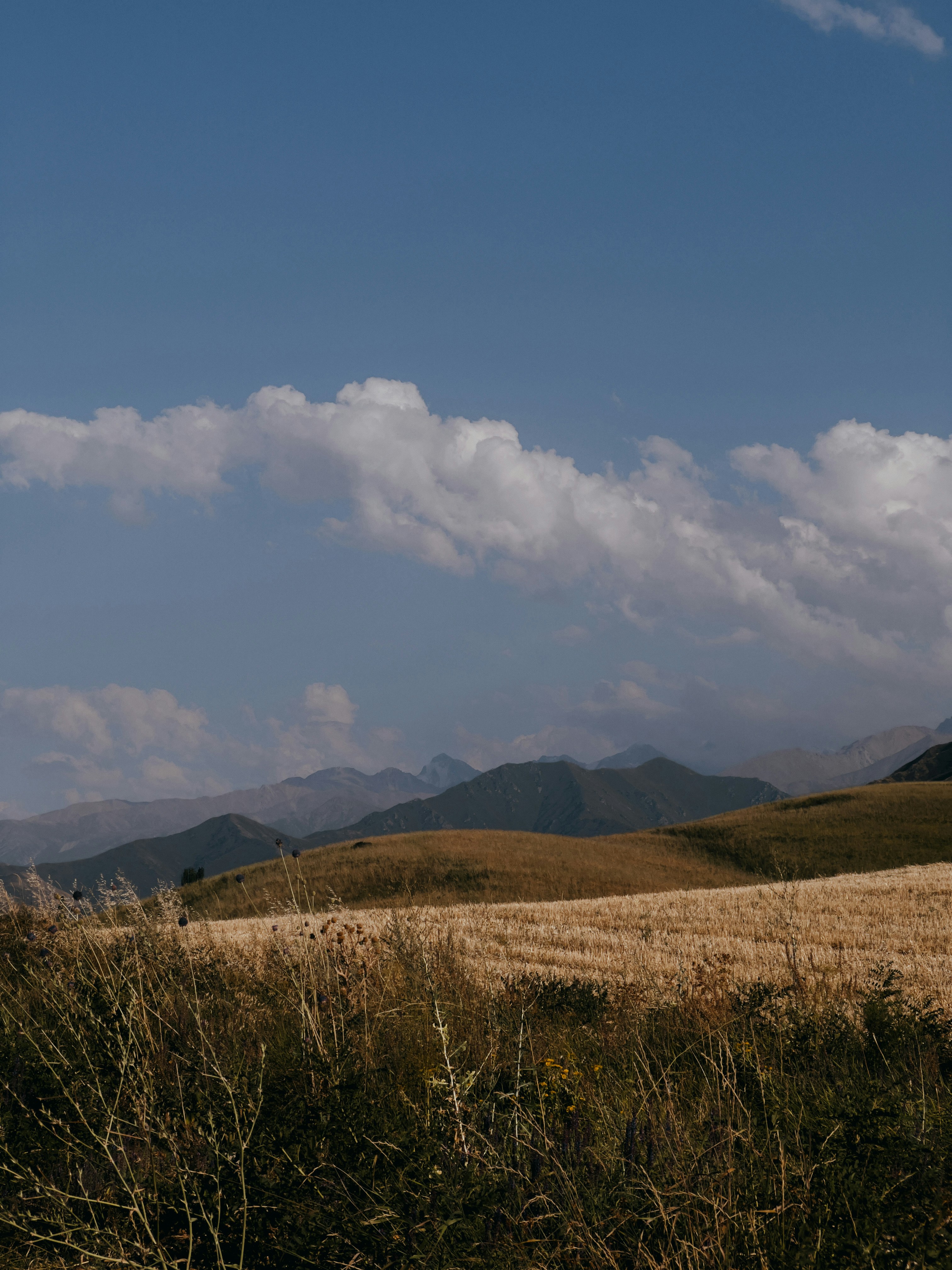 Photo by mishablinovv