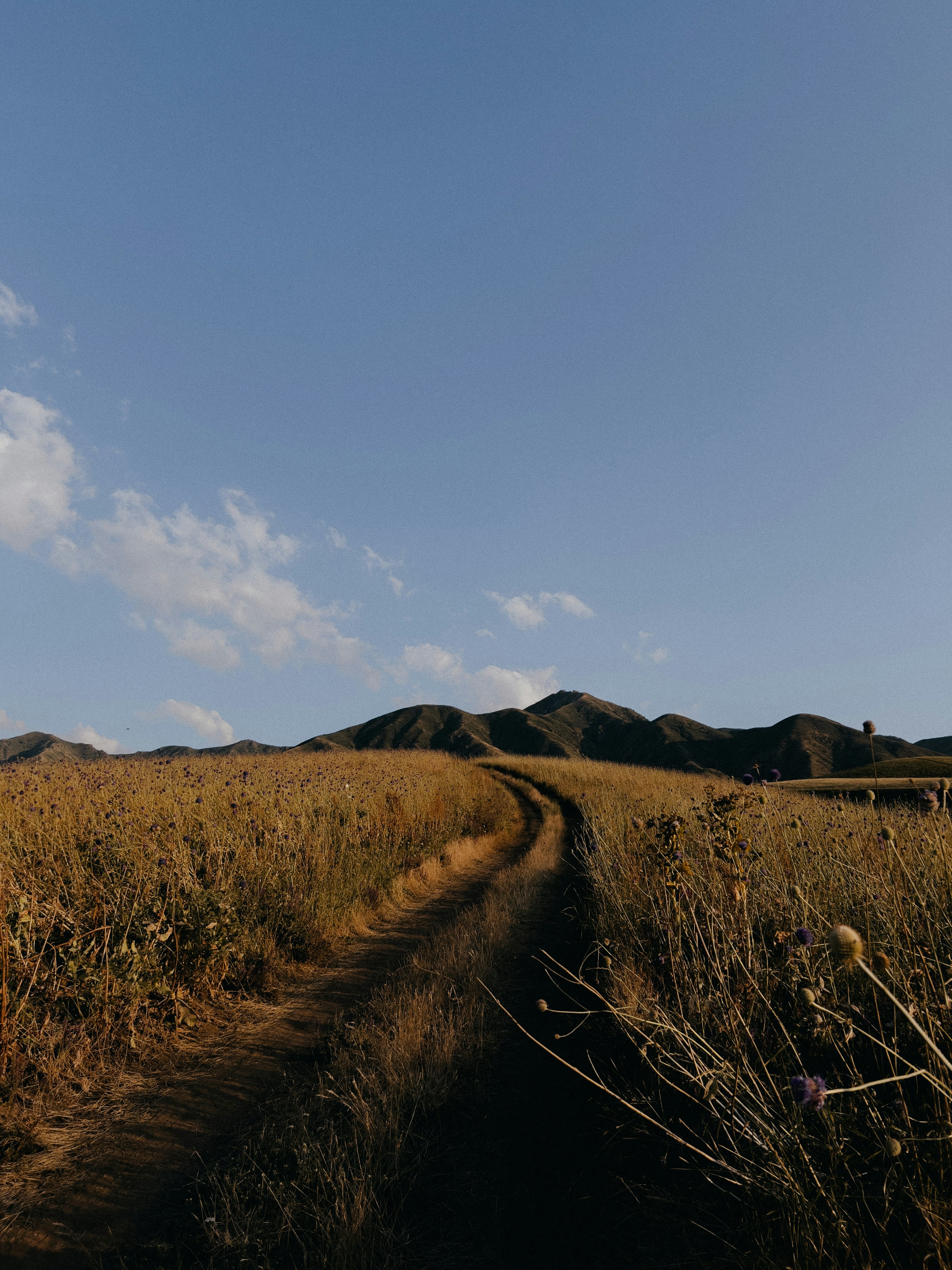 Photo by mishablinovv