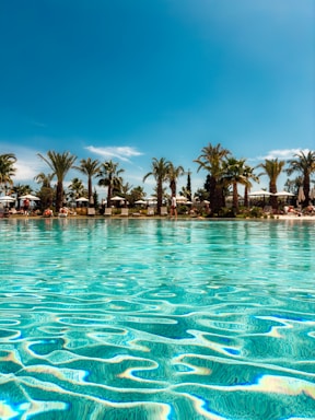 A swimming pool with palm trees in the background