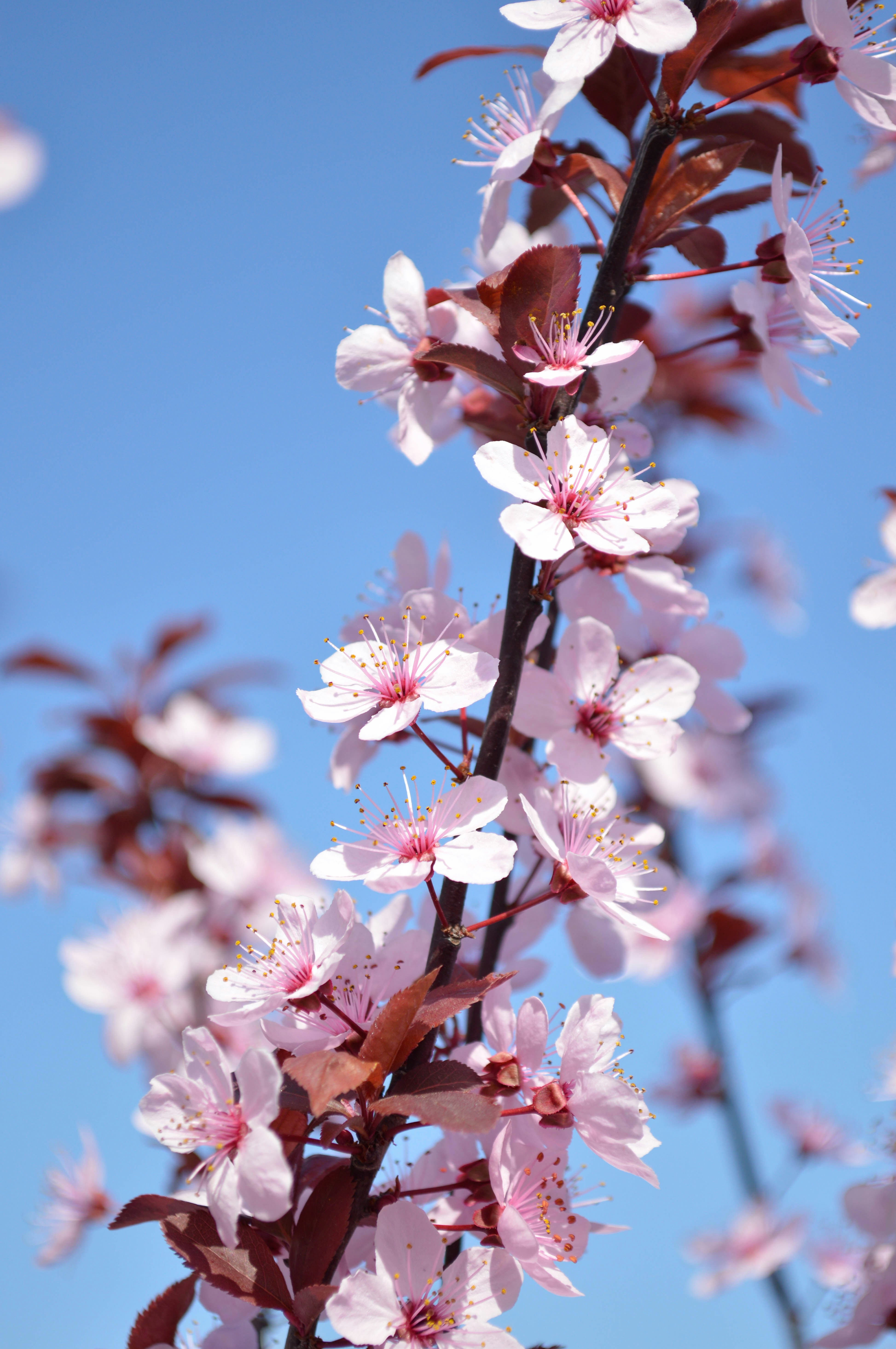 Photo by dmytrodovgan