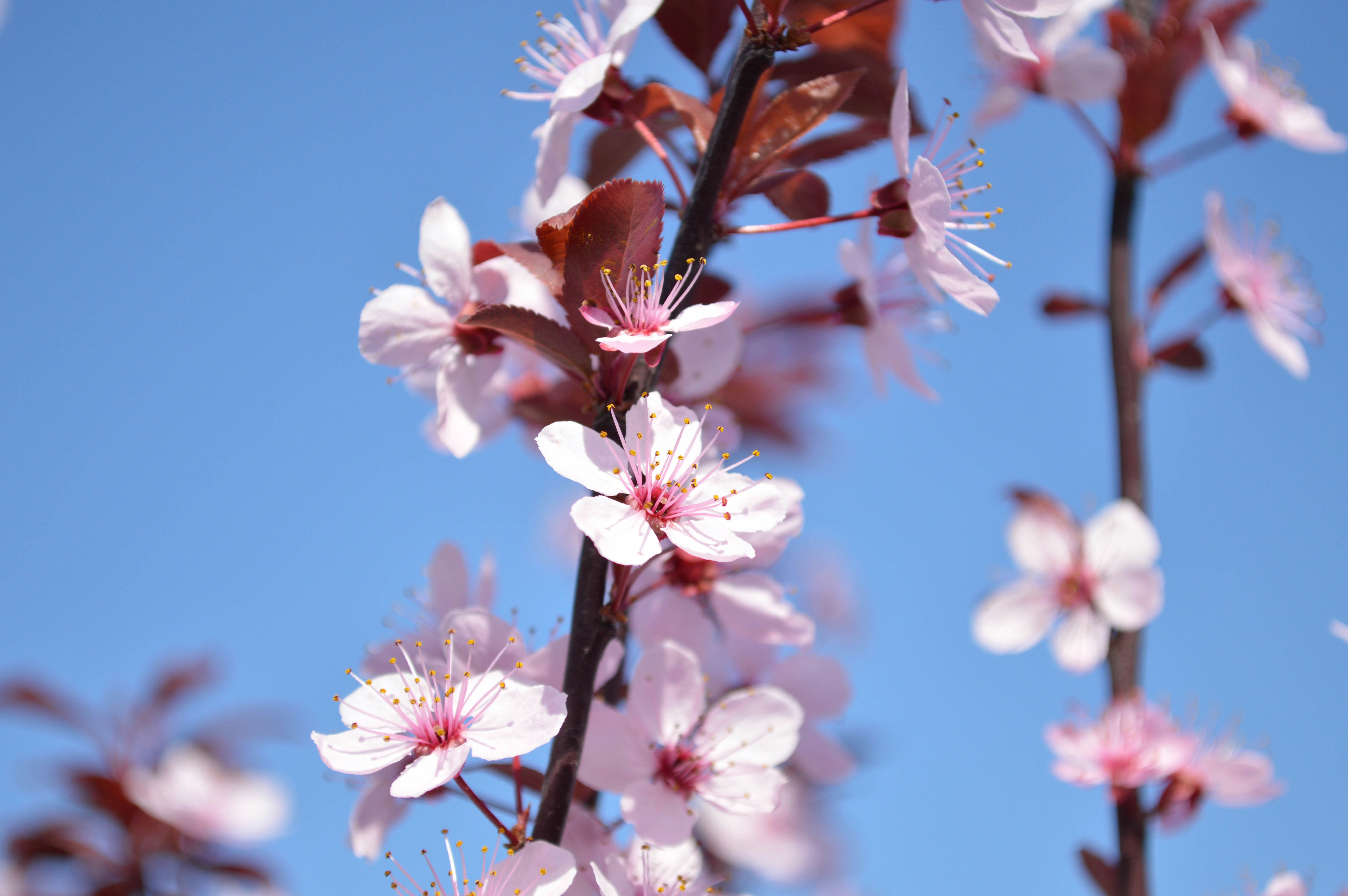 Photo by dmytrodovgan