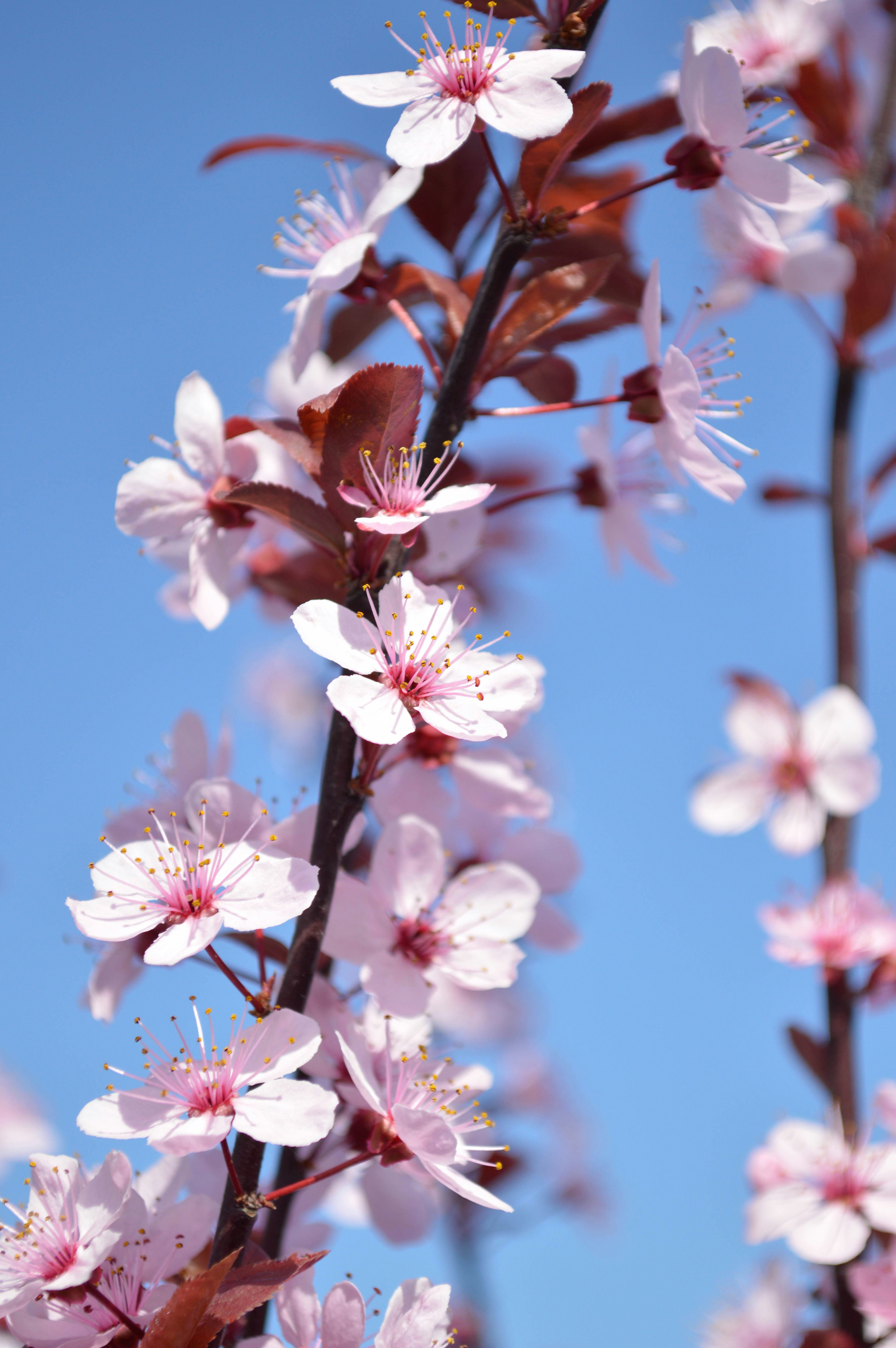 Photo by dmytrodovgan