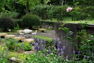 A garden filled with lots of purple flowers