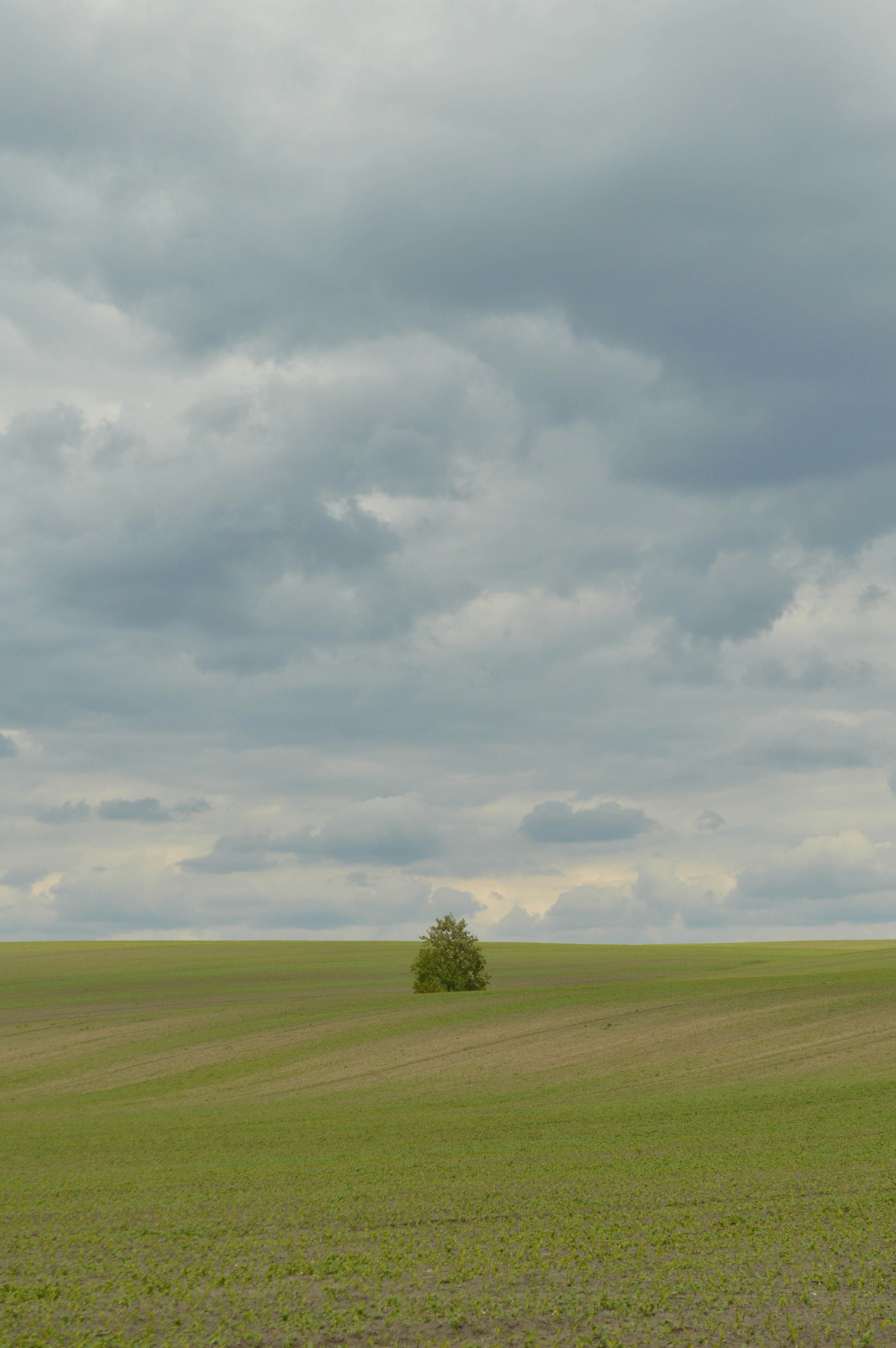 Photo by dmytrodovgan