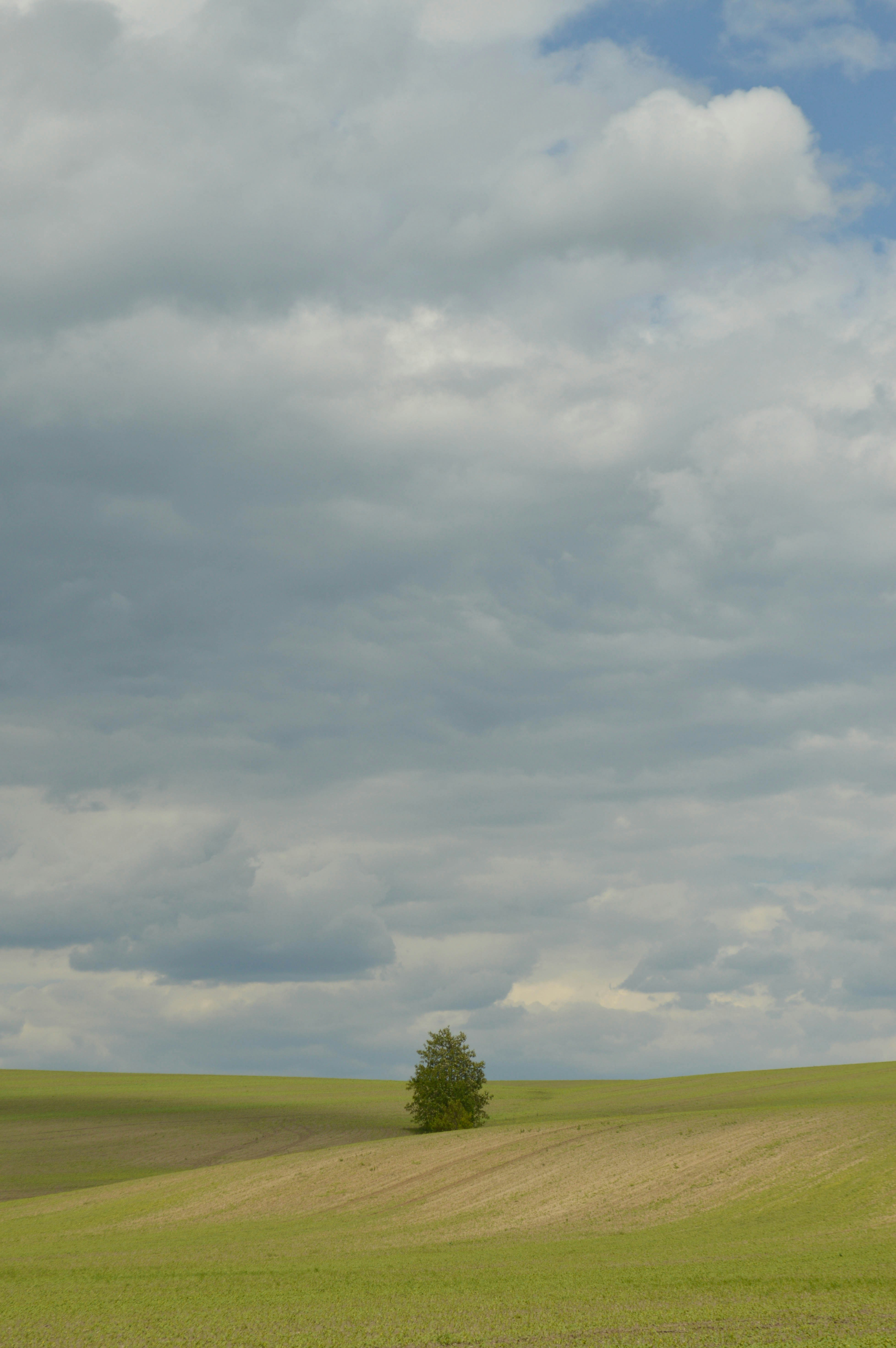 Photo by dmytrodovgan