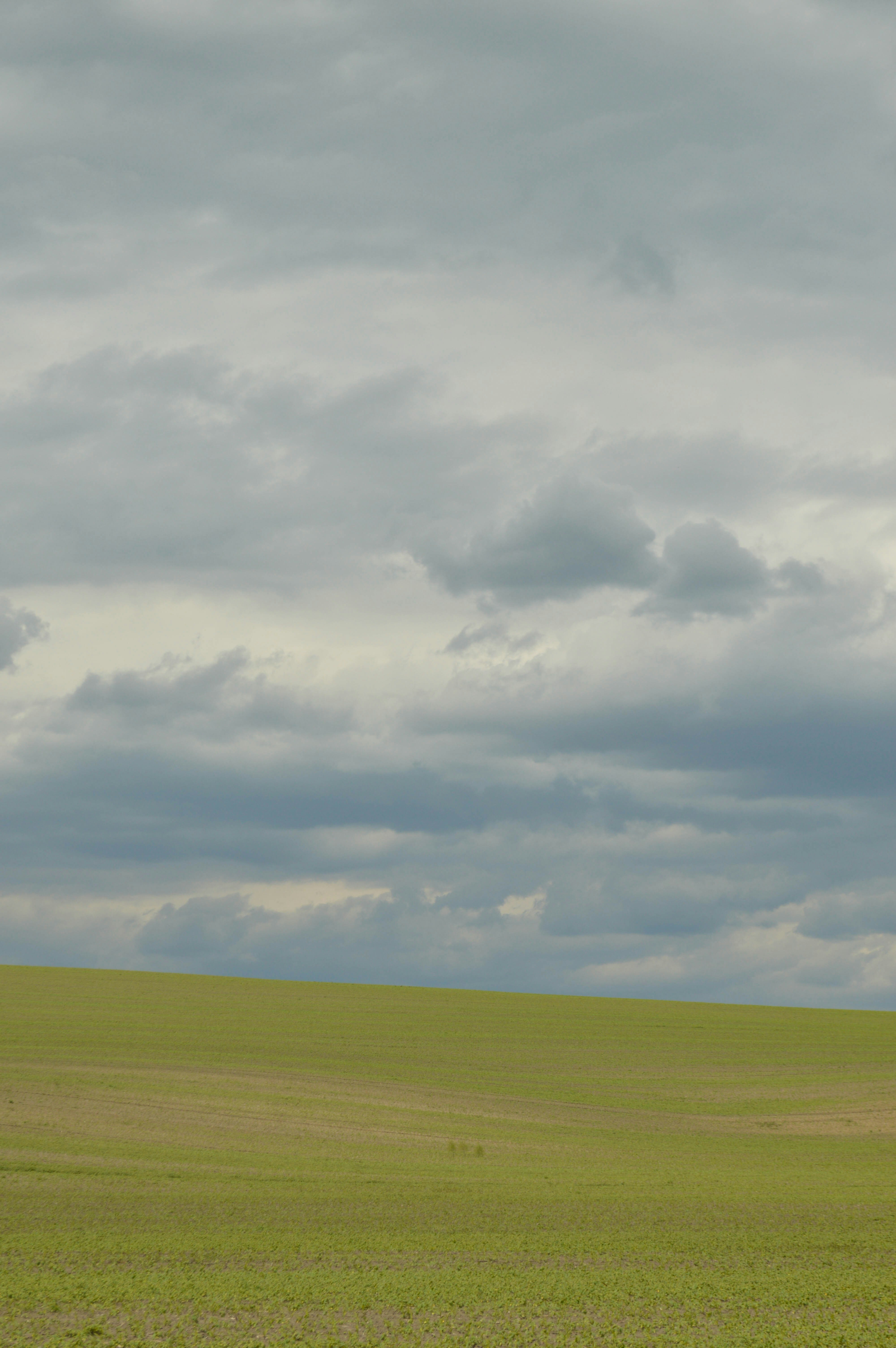 Photo by dmytrodovgan