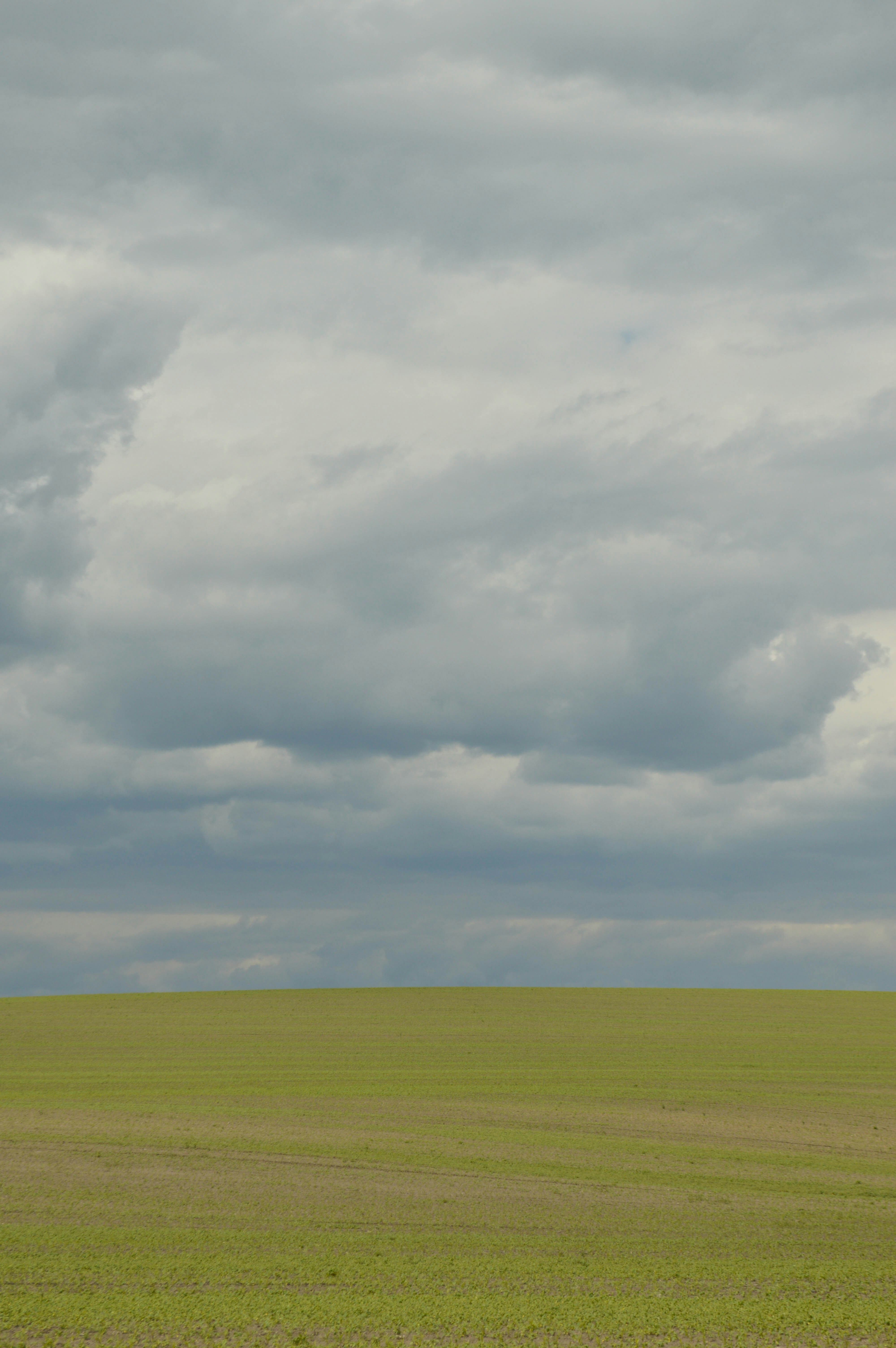 Photo by dmytrodovgan