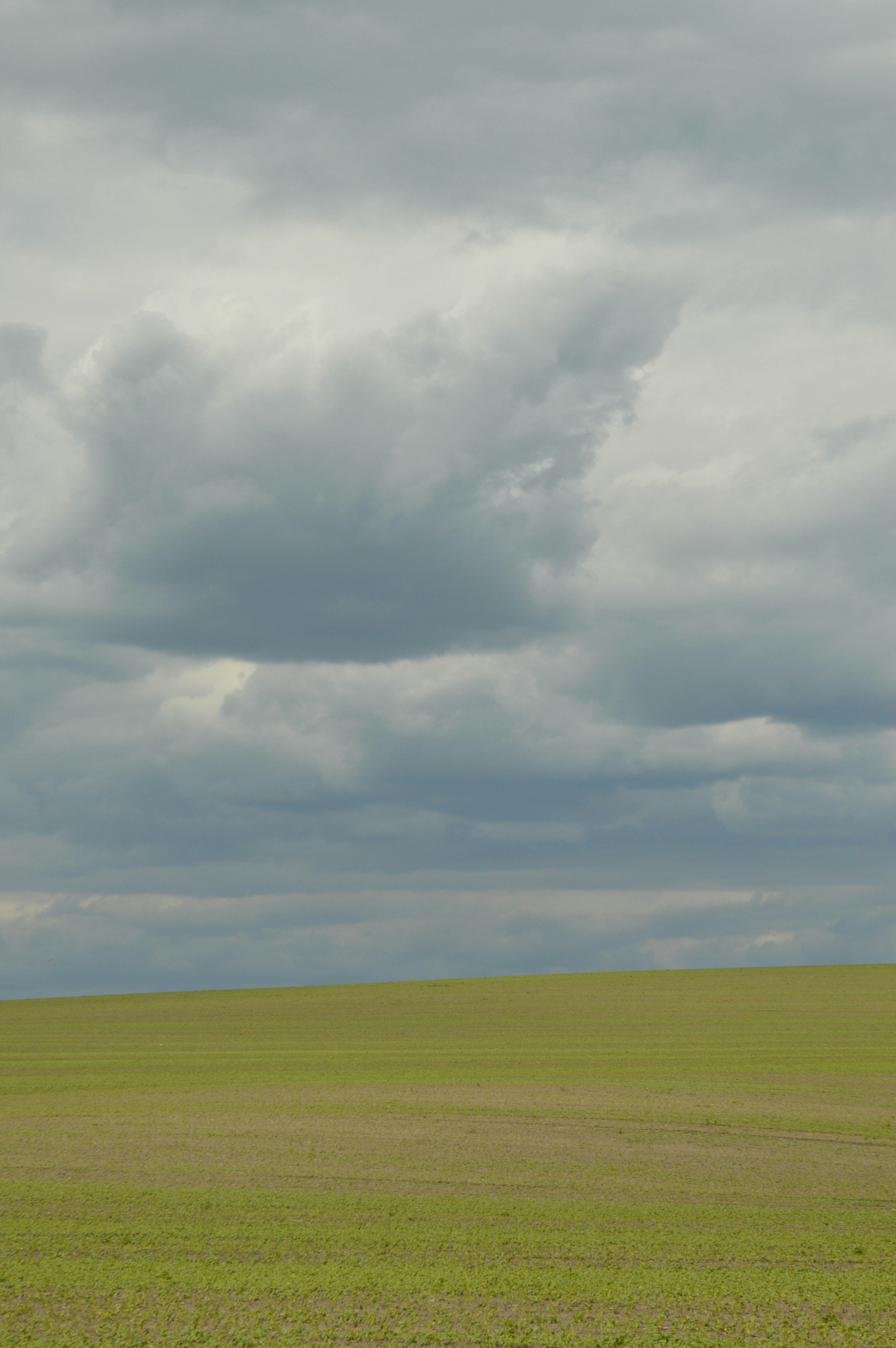 Photo by dmytrodovgan