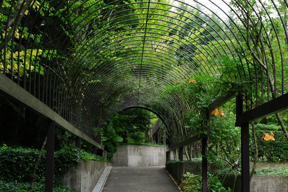 The image depicts a serene garden scene with an arched walkway constructed from metal and adorned with lush green trees, creating a natural canopy overhead. The walkway is flanked by verdant bushes on both sides, adding to the tranquil atmosphere. A concrete wall can be seen in the background, providing a contrast to the organic elements of the garden. The image does not contain any discernible text or countable objects, and there are no people present in the scene.