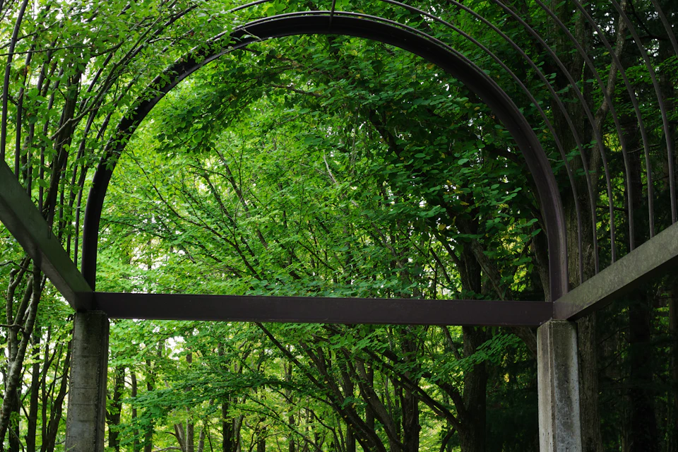 The image shows a large, arched window framed by two sturdy metal columns and adorned with lush green trees on either side. The trees are densely packed together, creating a canopy that filters the light into the room through the arched opening. The perspective of the photo is from within the room, looking out onto the verdant foliage outside.