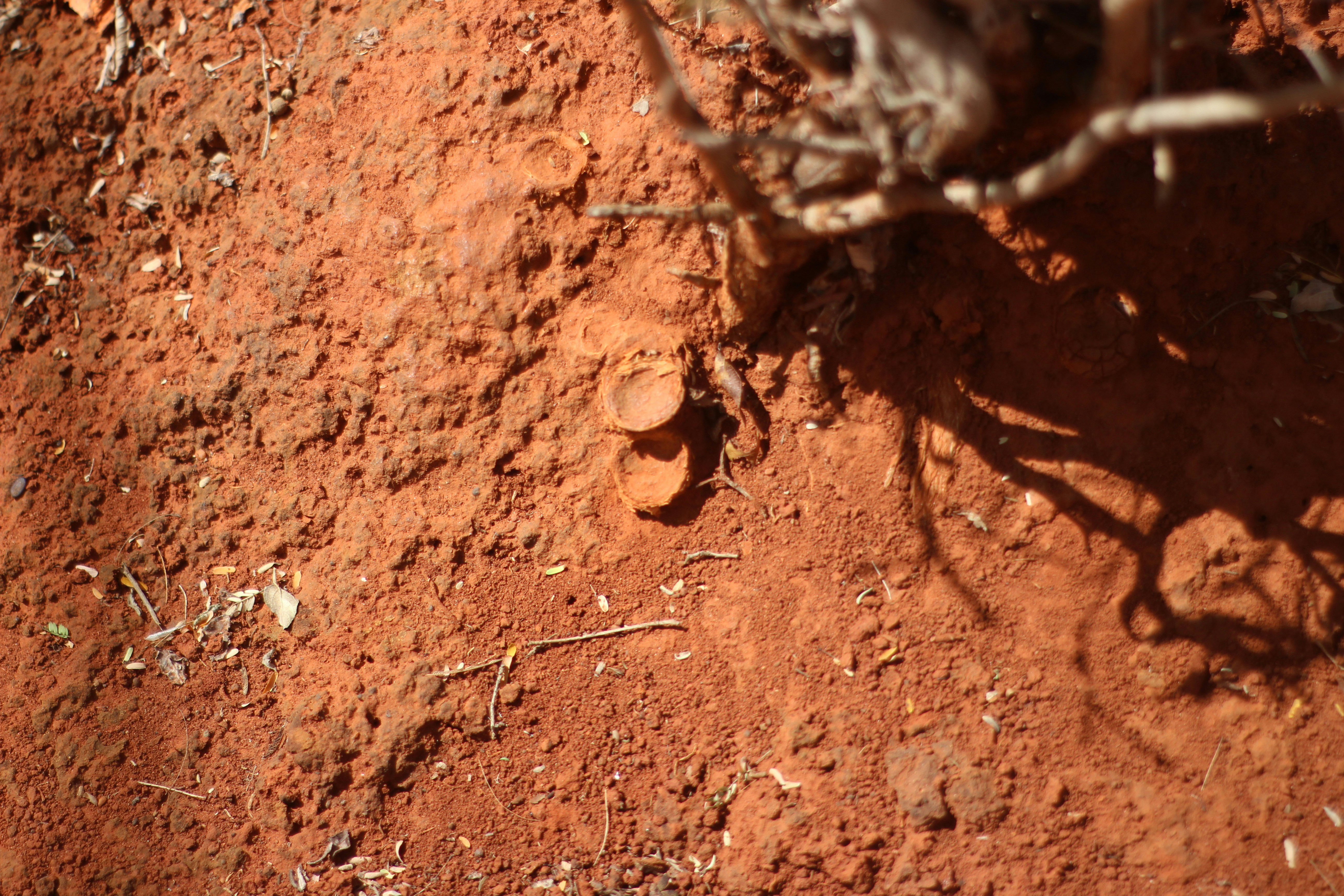 Photo by otaciliomaia