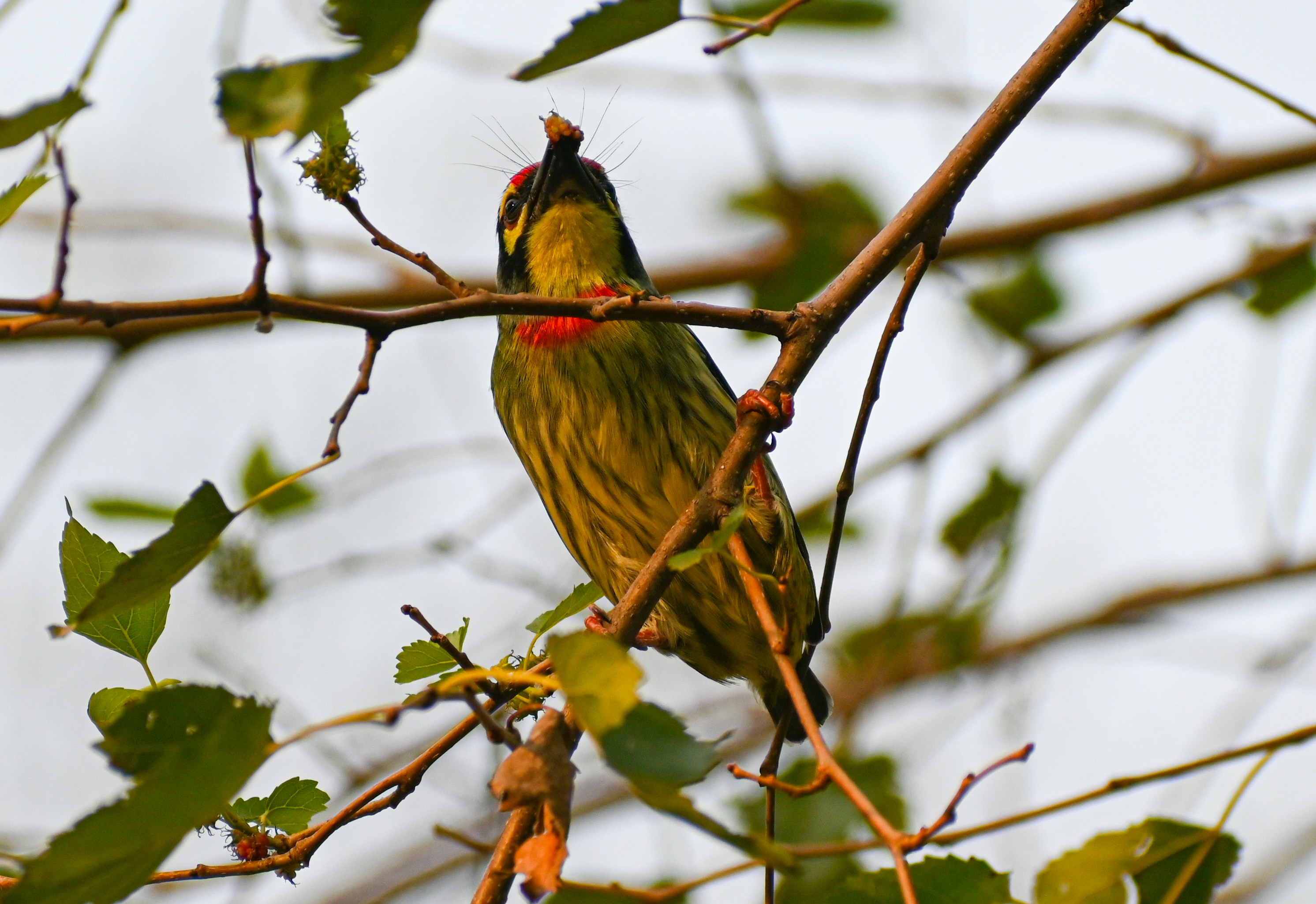 Photo by maheerakulsoom