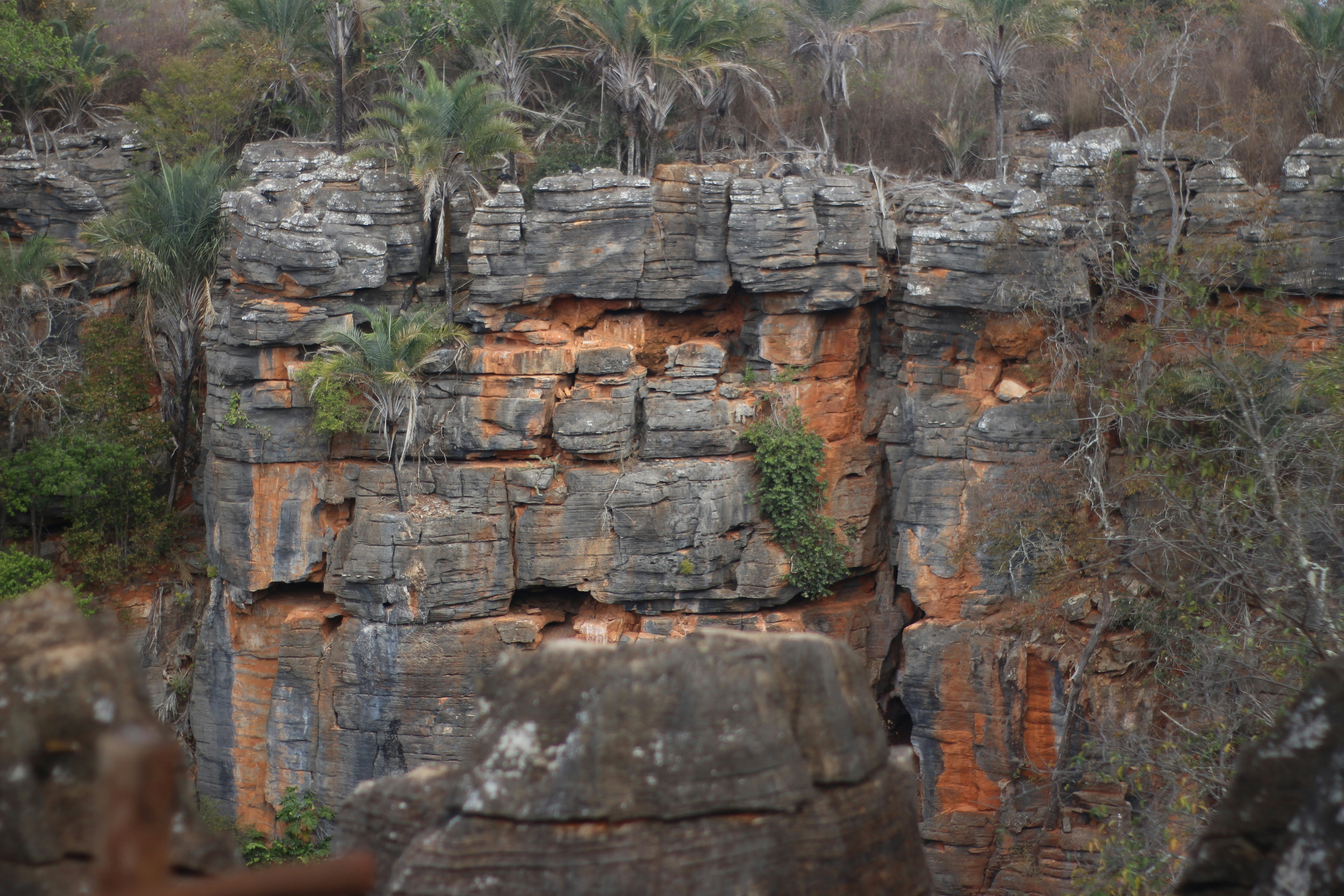 Photo by otaciliomaia