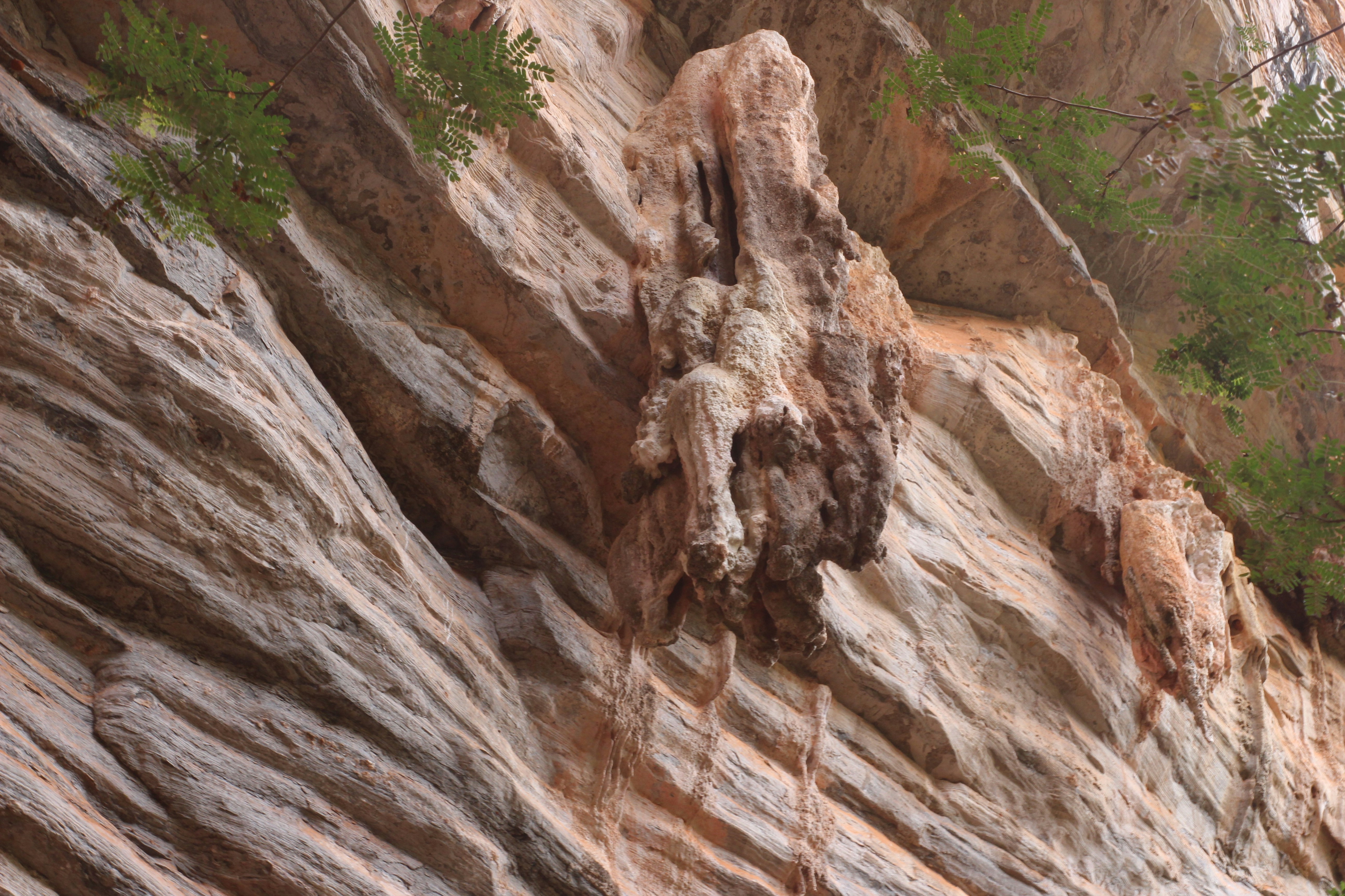 Photo by otaciliomaia