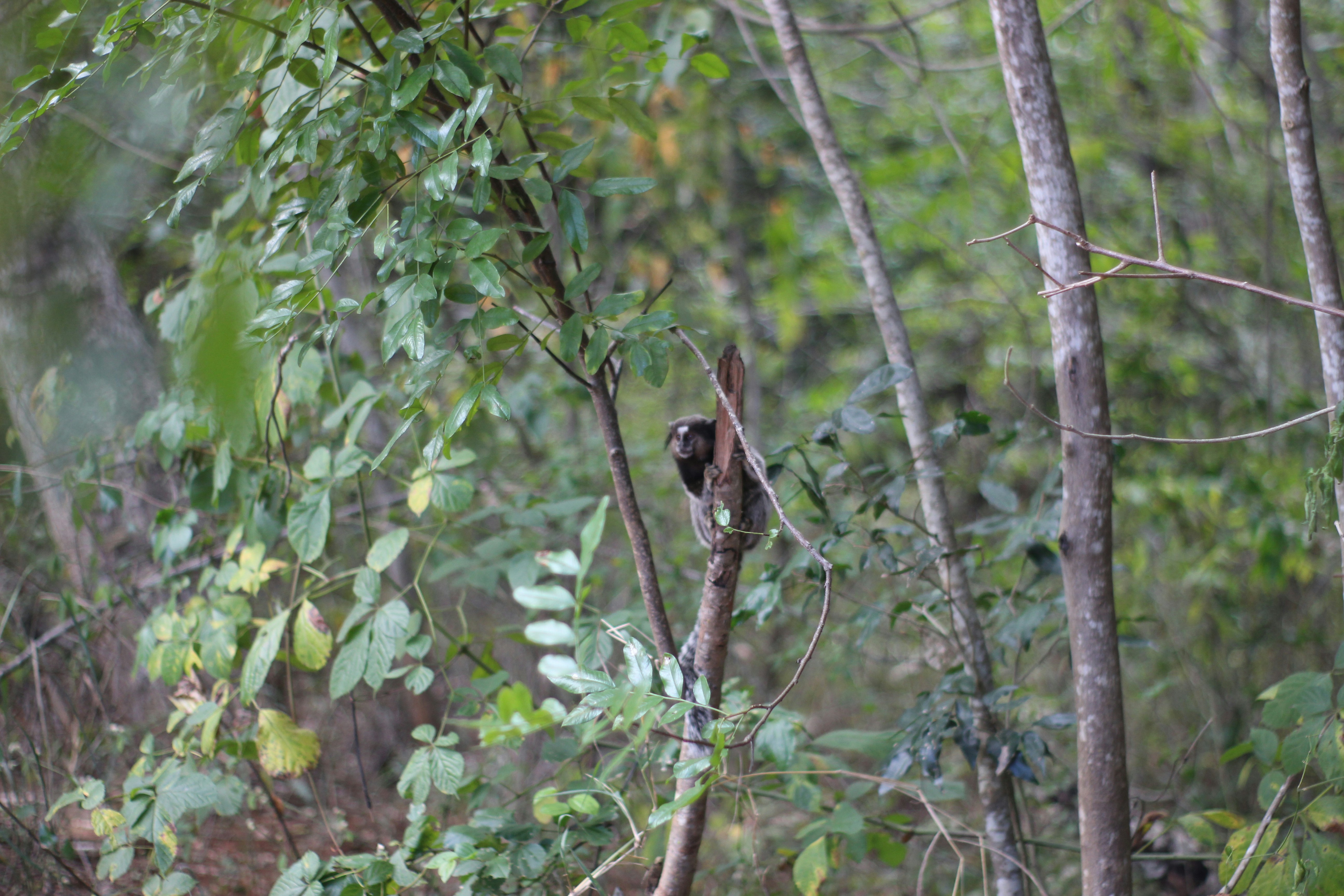 Photo by otaciliomaia