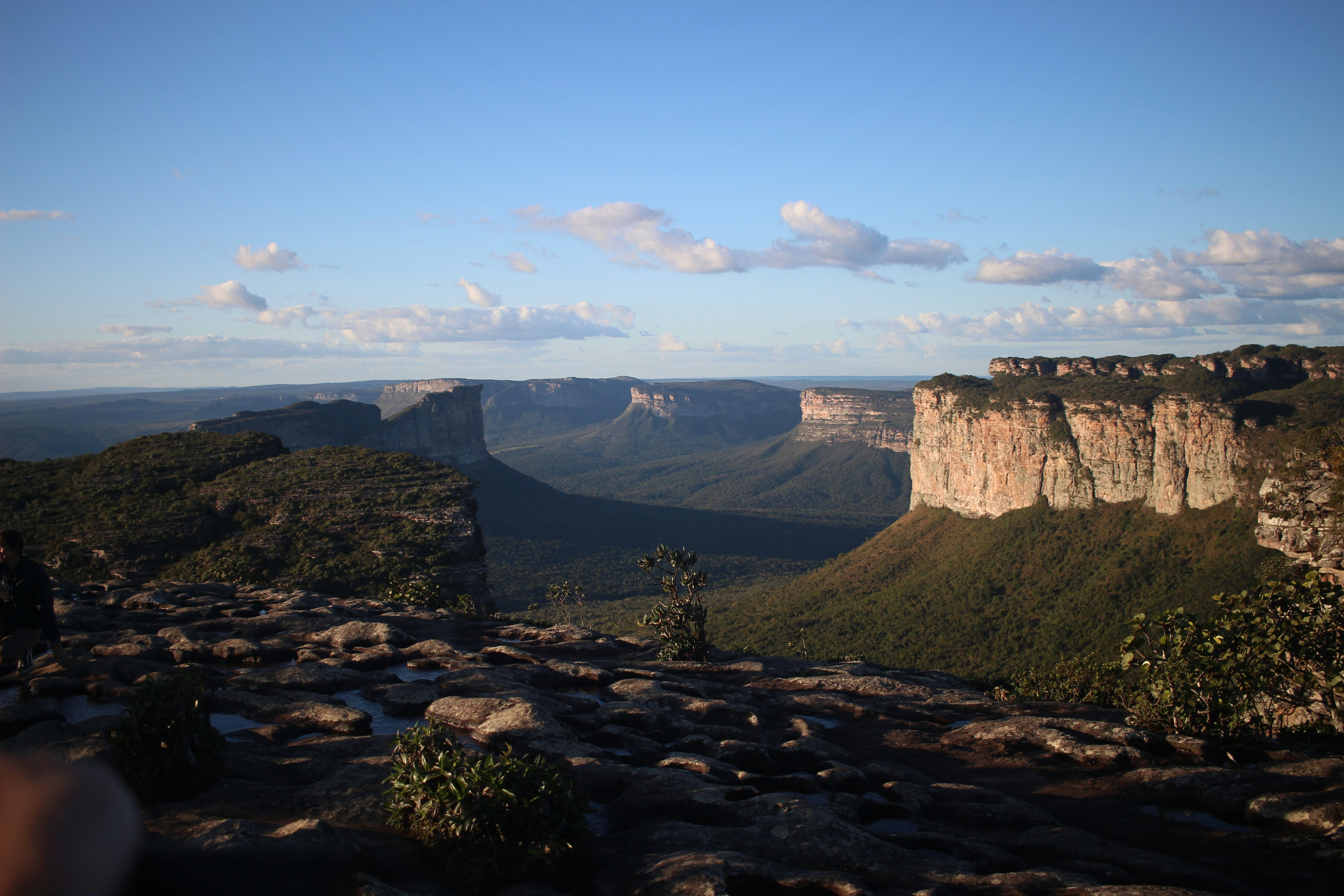 Photo by otaciliomaia