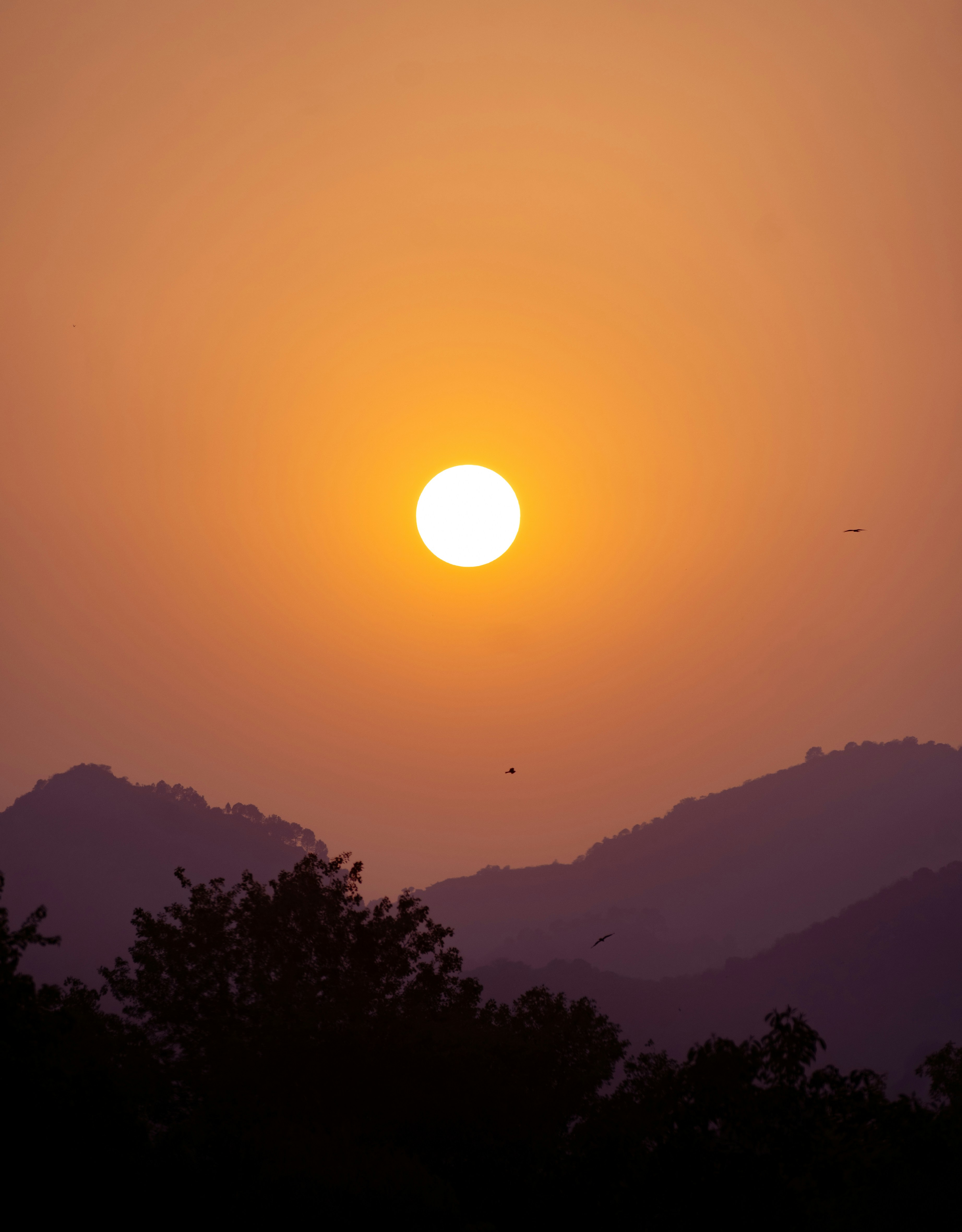 Photo by maheerakulsoom